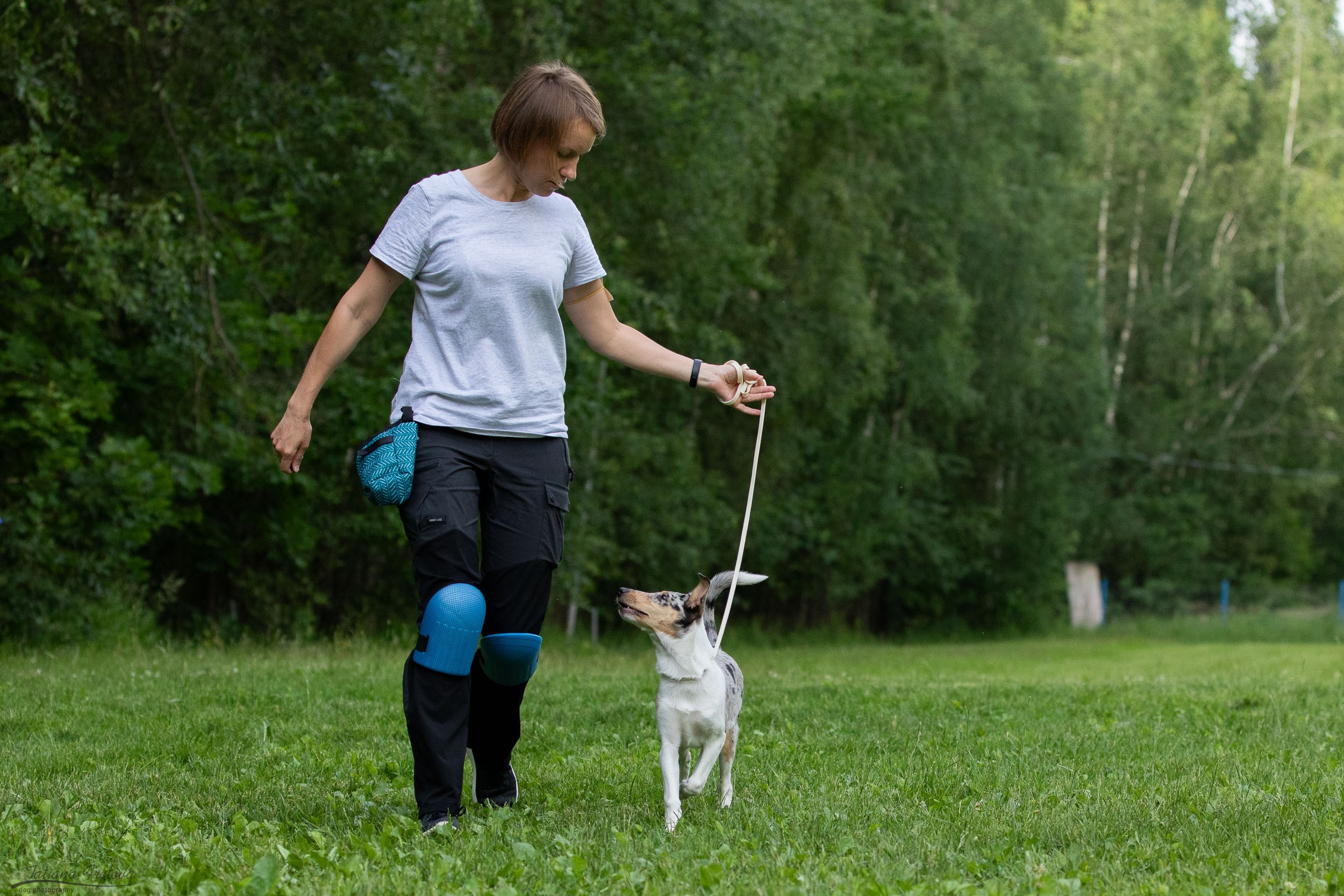Репортаж с выводки молодняка колли/шелти в Ясенево. Фотограф-анималист в Москве и Московской области Татьяна Фролова