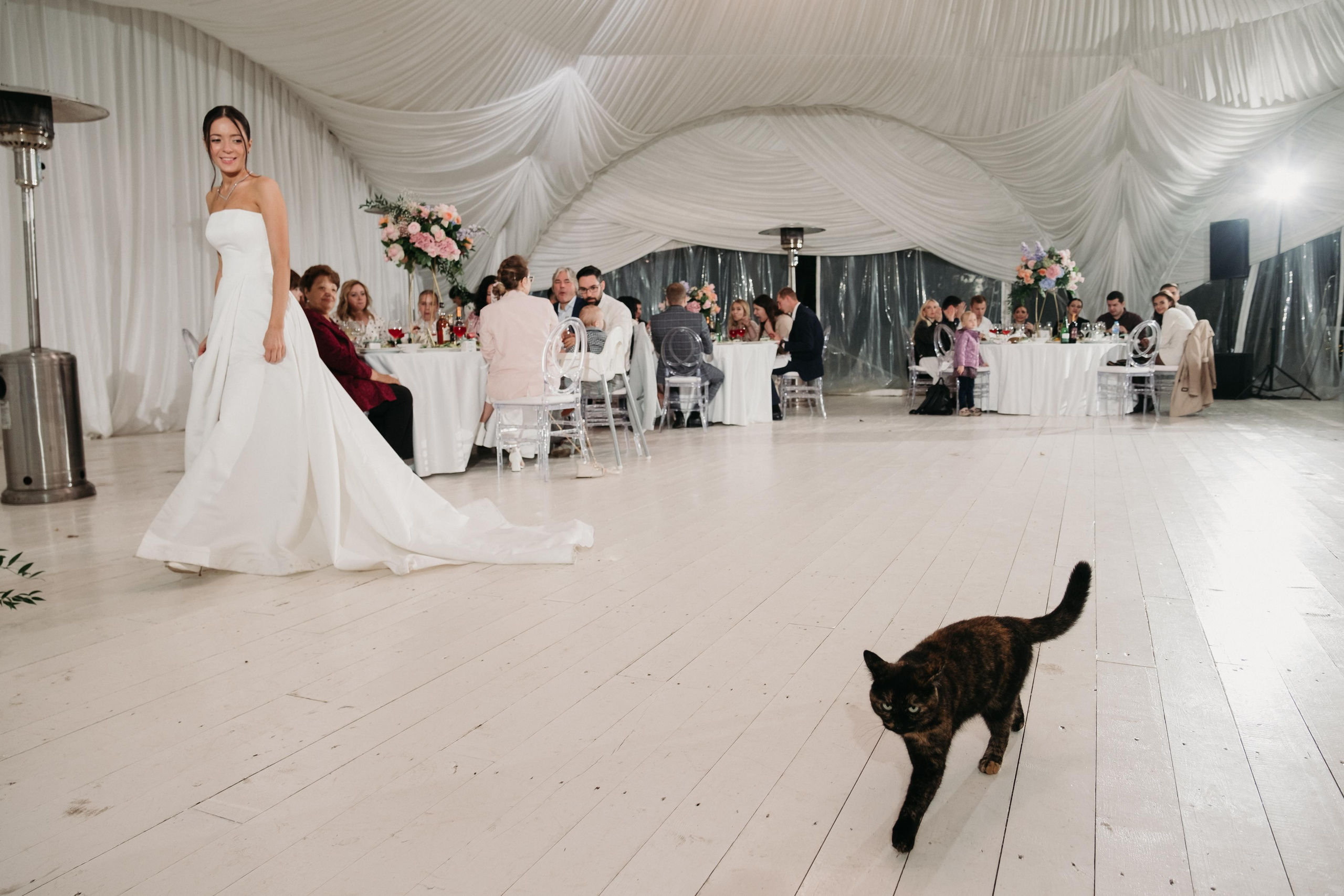 Alexandr & Natali. Свадебный фотограф в Москве