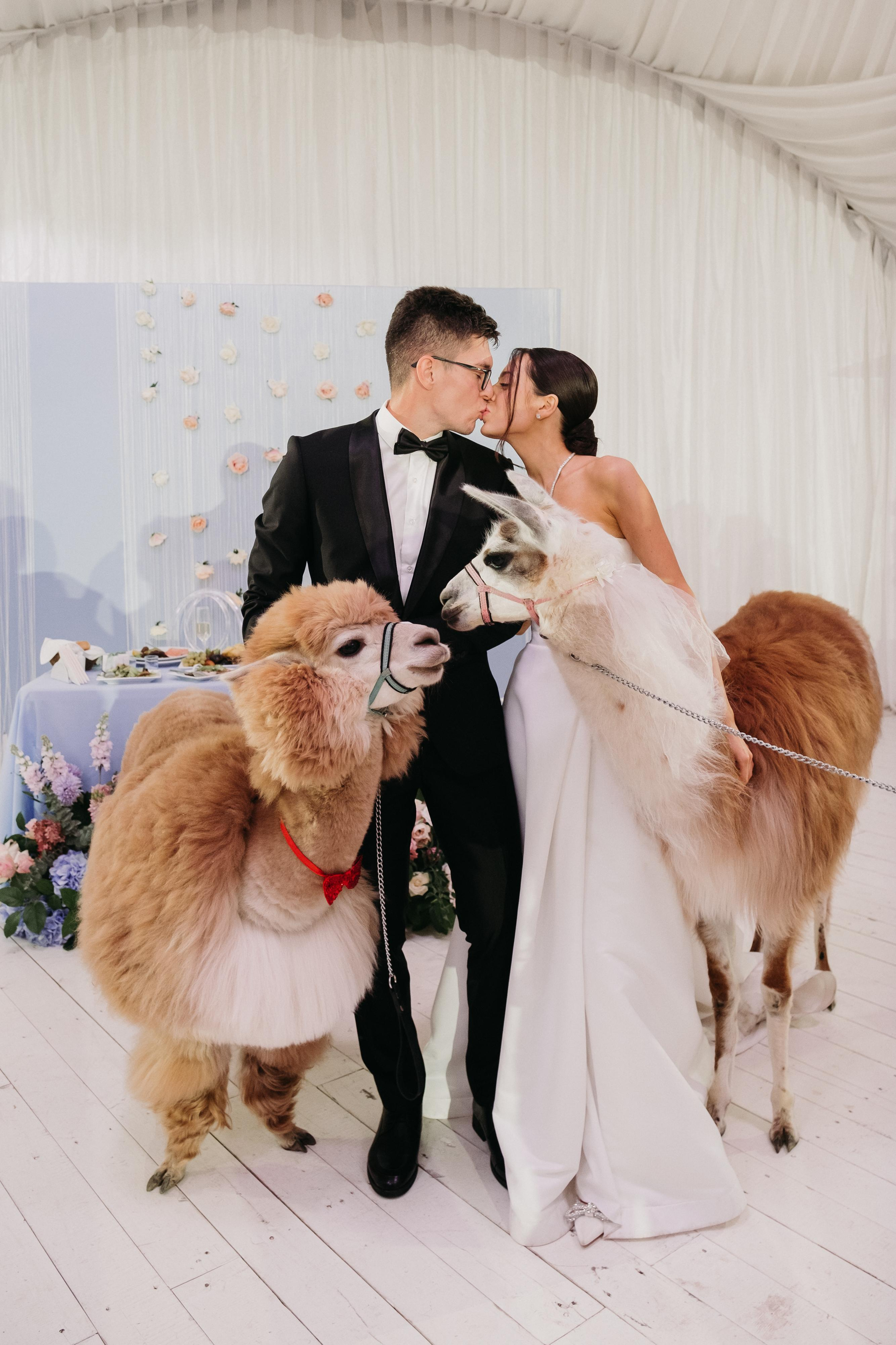 Alexandr & Natali. Свадебный фотограф в Москве