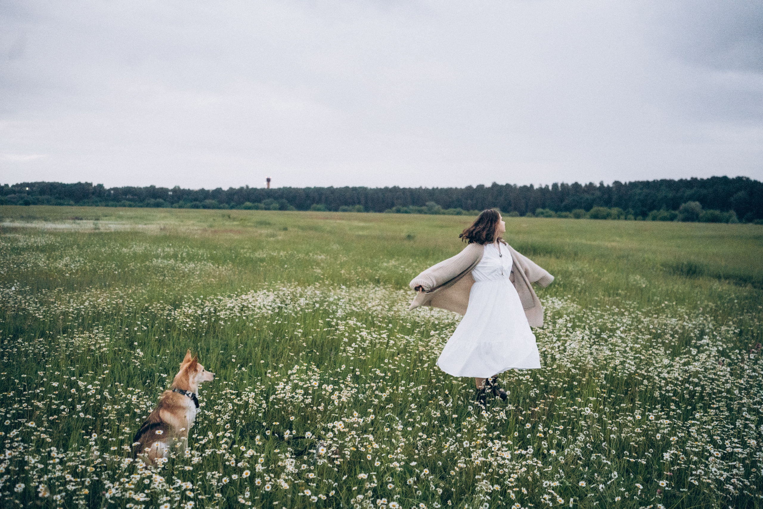 Соня и Кора. Фотограф анималист в Москве и Санкт-Петербурге Свиридова Анна