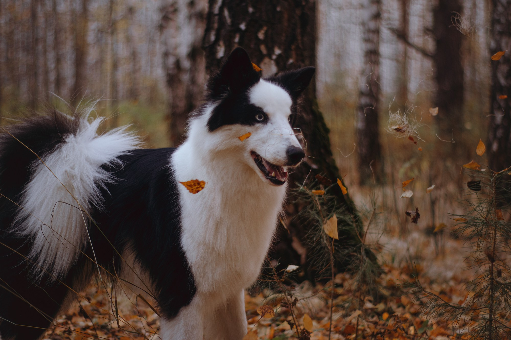 Ликёр. Фотограф в Тюмени Лизавета Сапицкая
