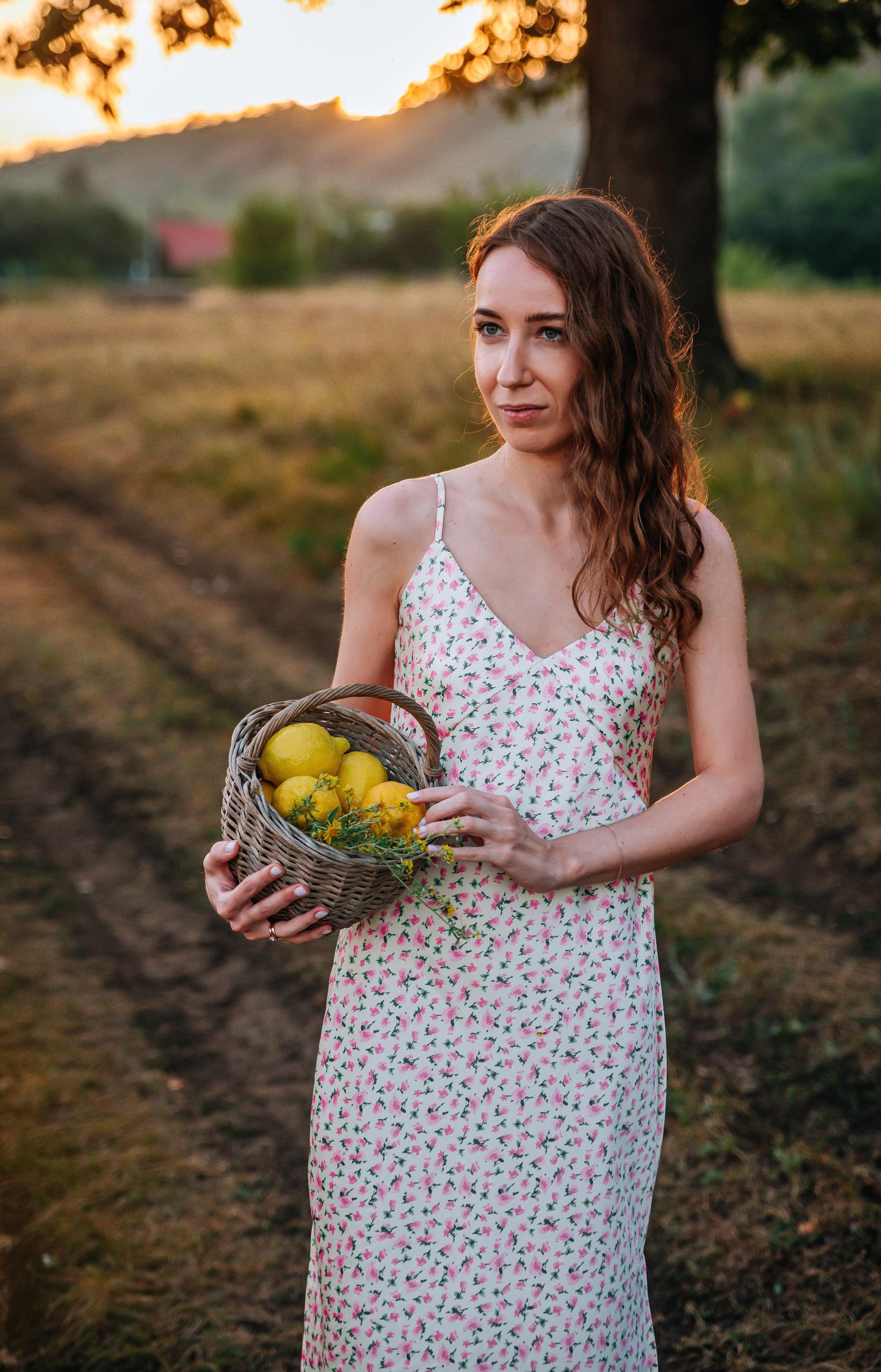 Летний Пикник. Главная