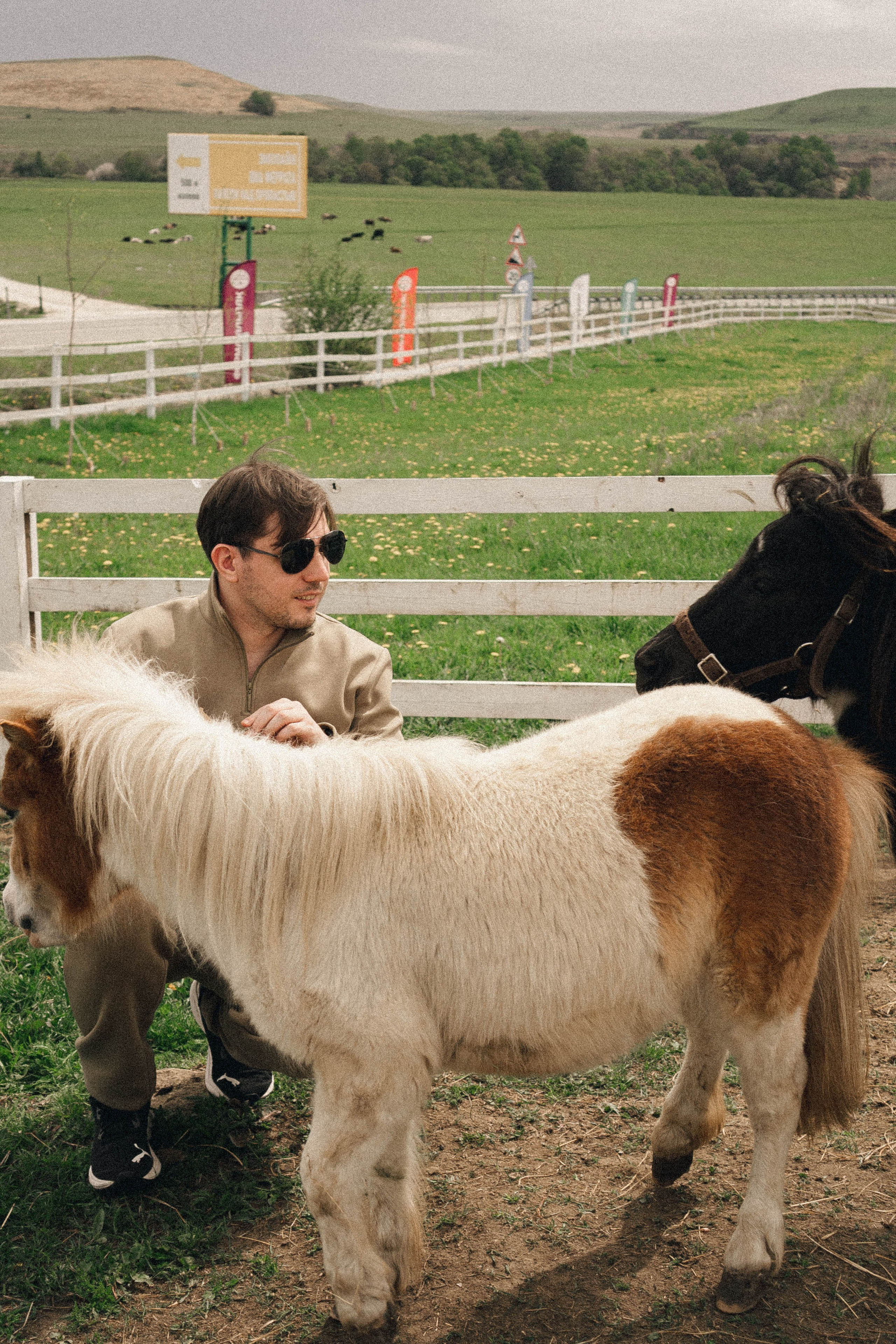 Ферма Альпак. Профессиональный фотограф, Санкт-Петербург — Виктория Богомолова
