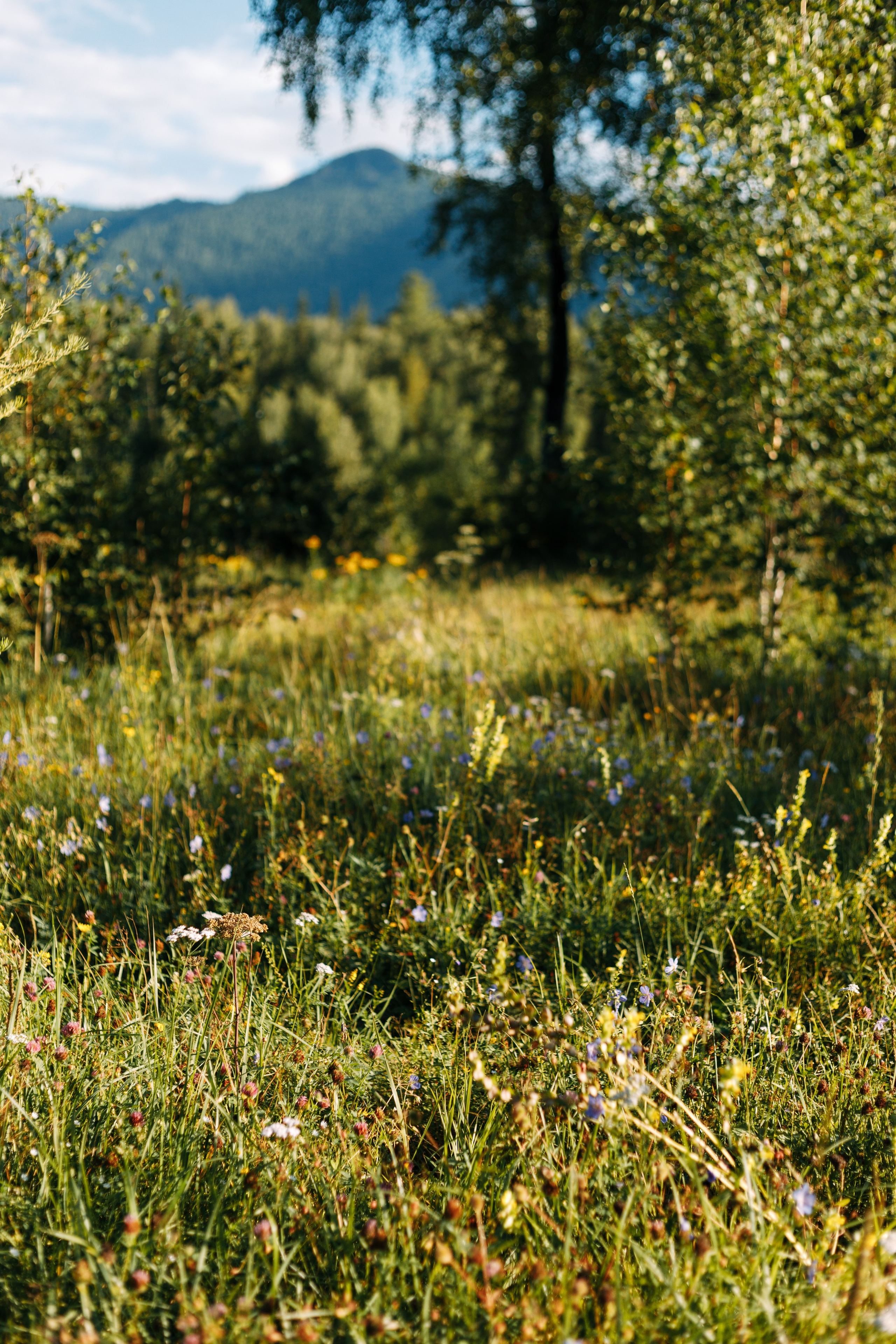 Йога-тур Алтай. Портретный фотограф в Санкт-Петербурге