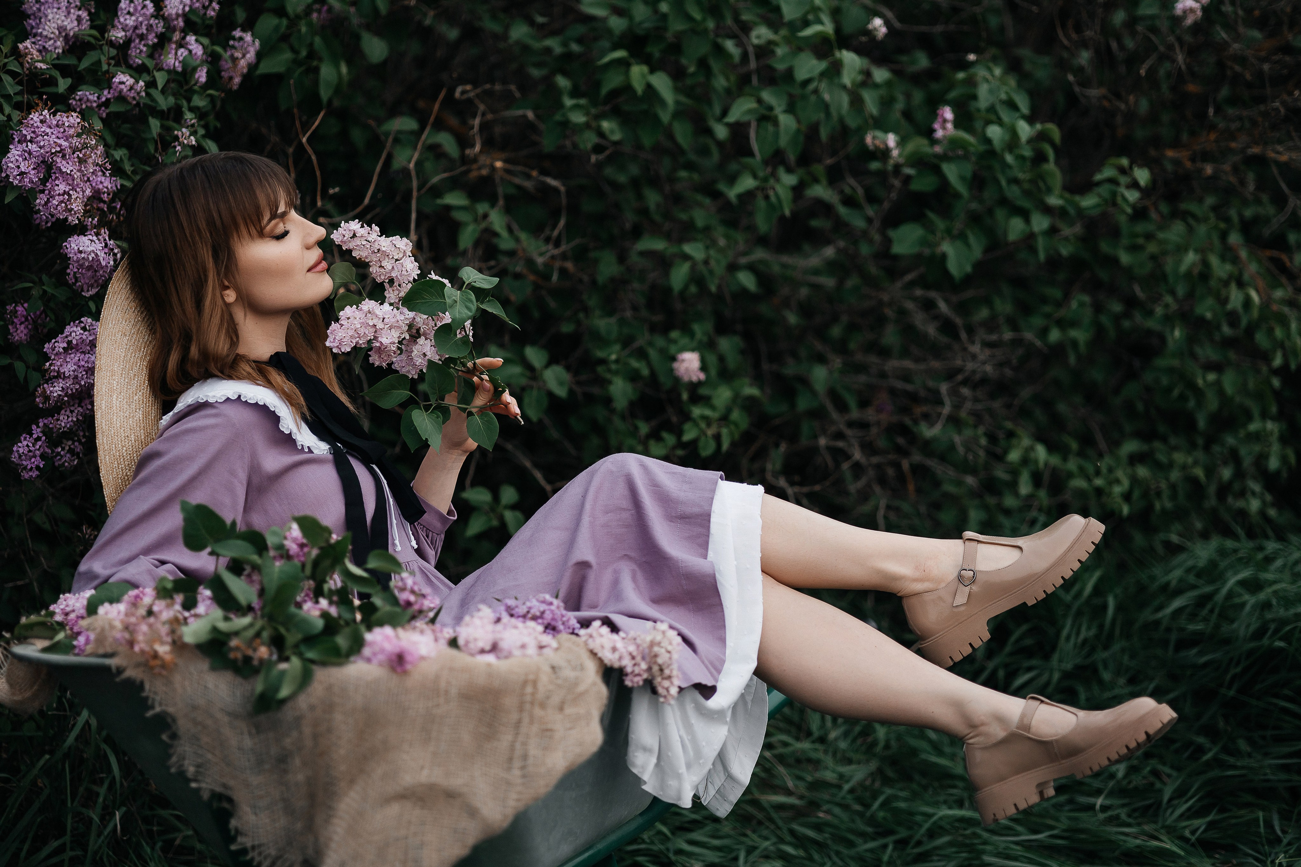 Сирень. Фотограф в Севастополе — Евгения Бойко