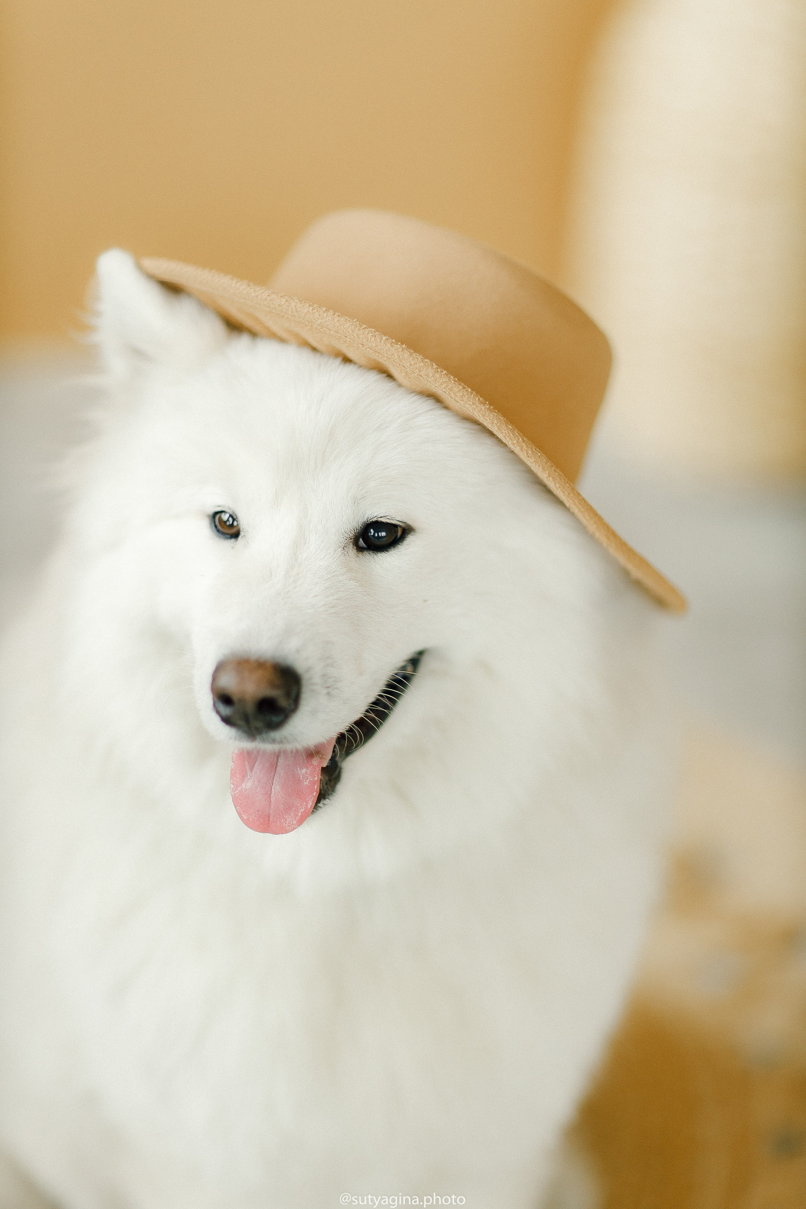 Самоед Мартин. Свадебный и женский фотограф