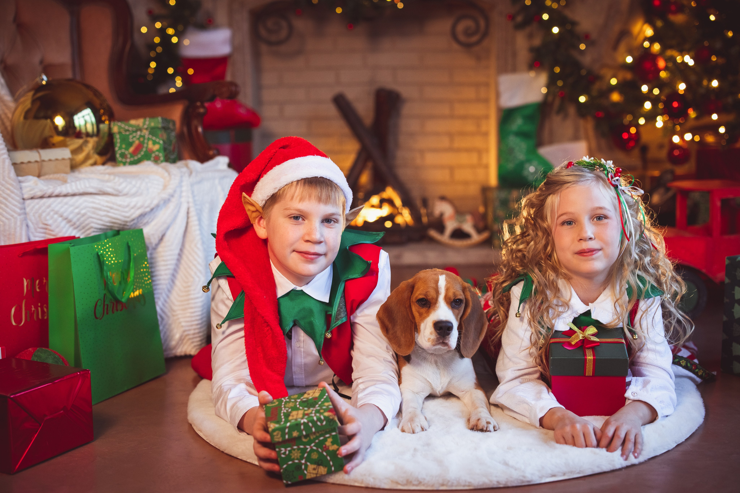 Новогодние ЭЛЬФЫ. Семейный и детский фотограф в Краснодаре Анна Трашкова