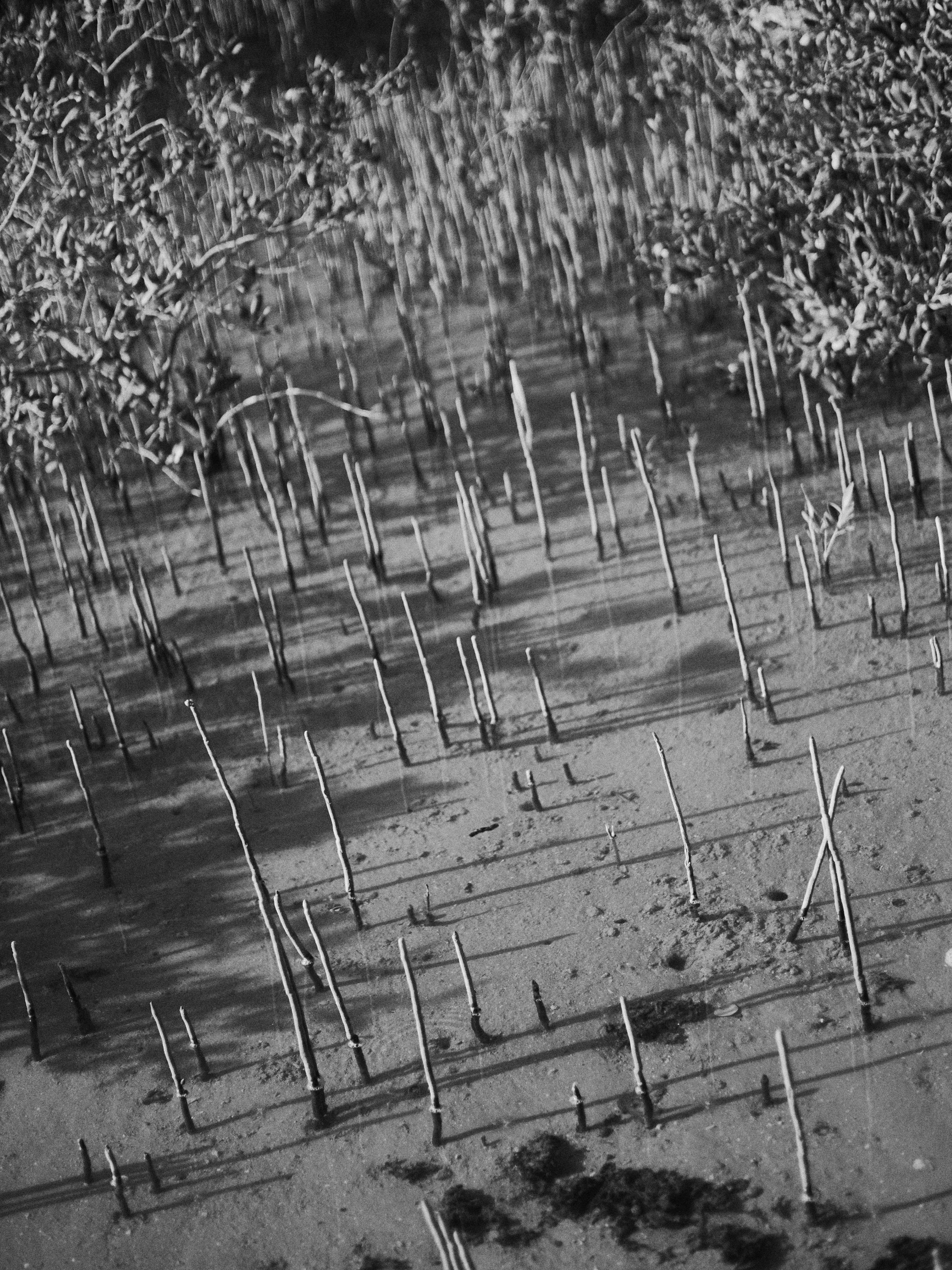 B&W. Jorgis — фотограф в Хургаде / обучение фотографии