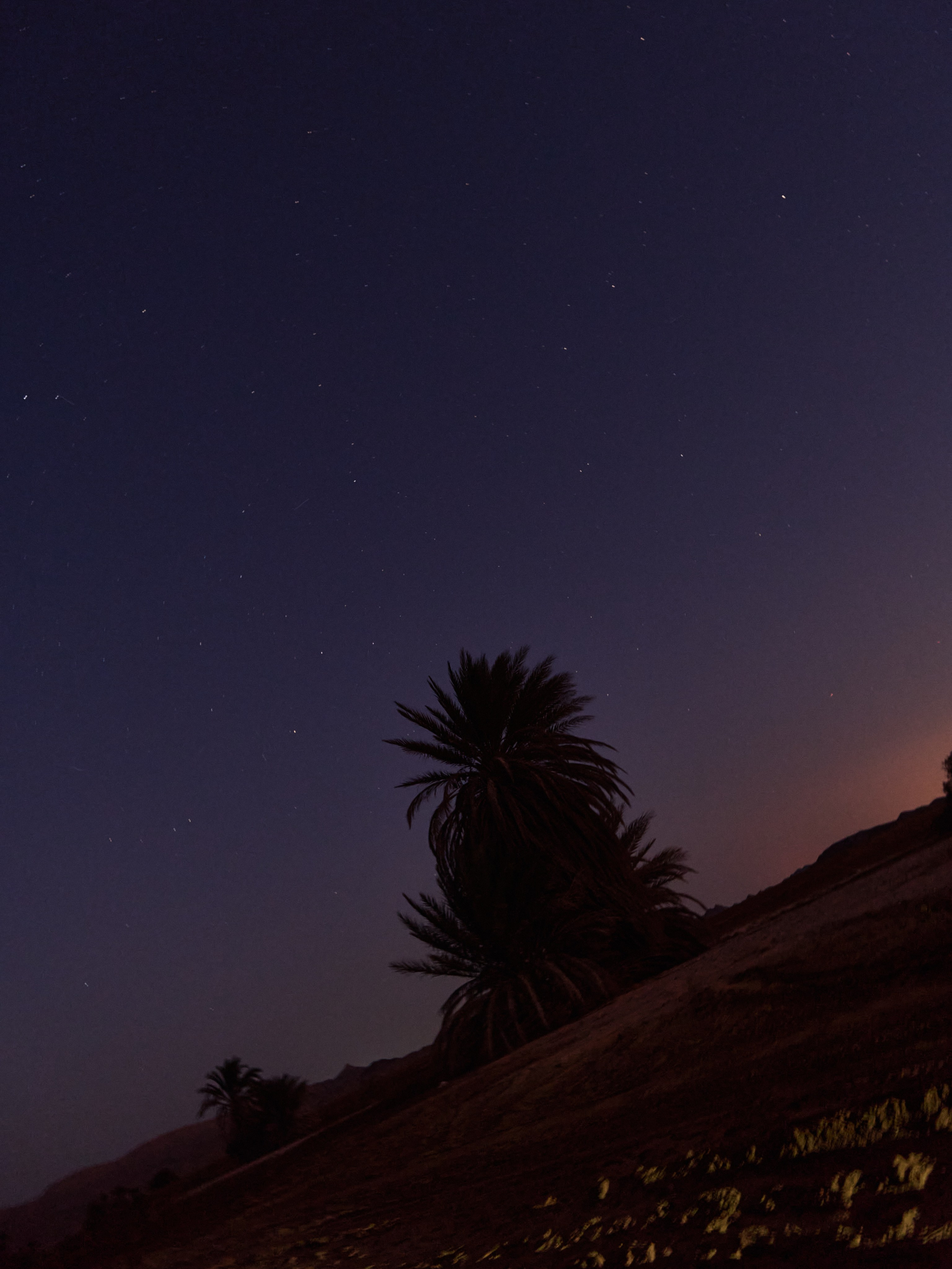Другое 3. Jorgis — фотограф в Хургаде / обучение фотографии