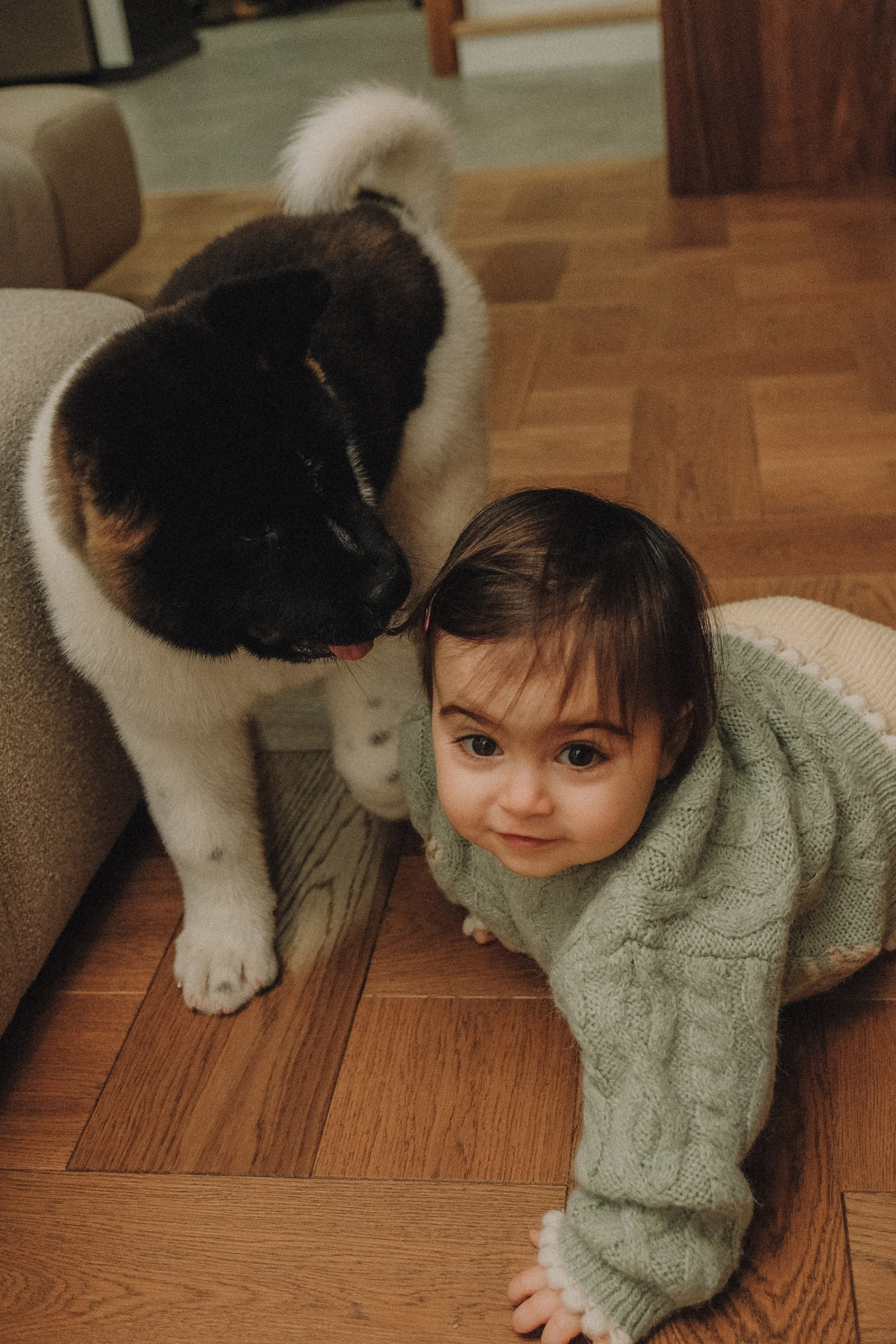 Семья Ани. Семейный фотограф Москва