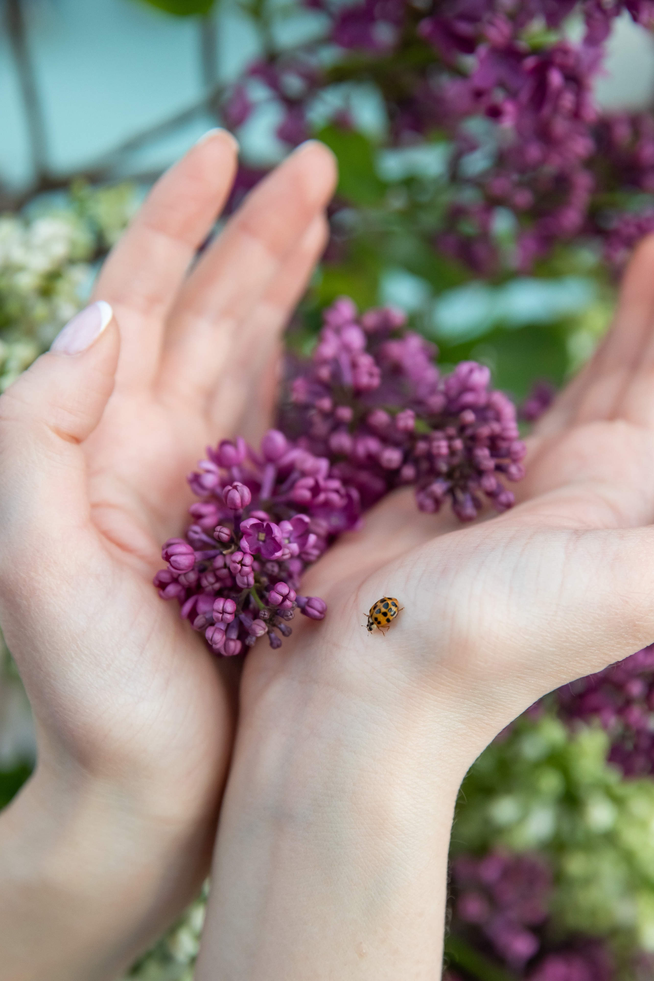 Съемка для проекта: Театрализованный ужин «Один летний день» в отеле Wawelberg. NesterovaMaria.ru