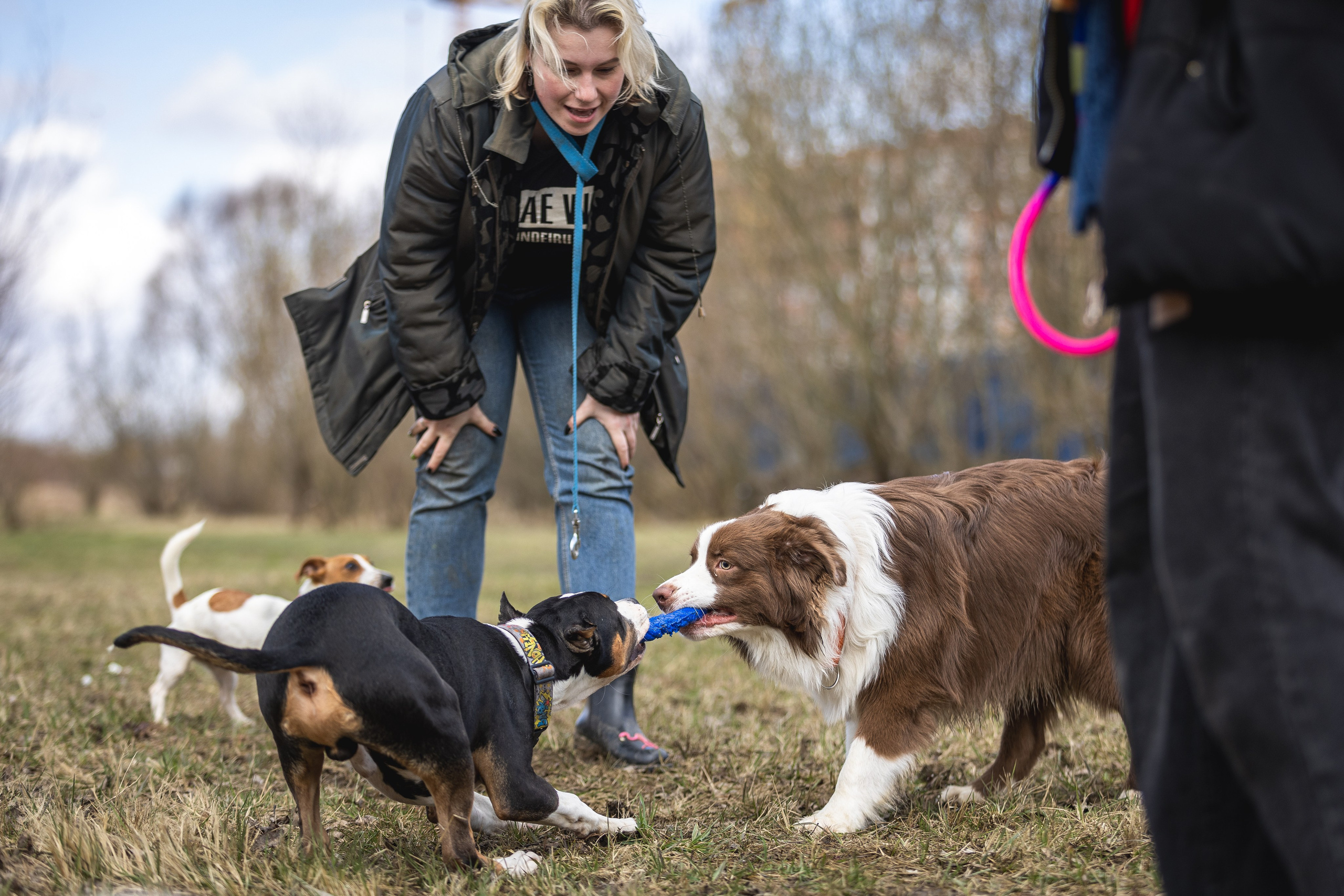 Догтуса 24.03.2024. Ирина Голомб|Фотограф-анималист в  Сочи и Калининграде