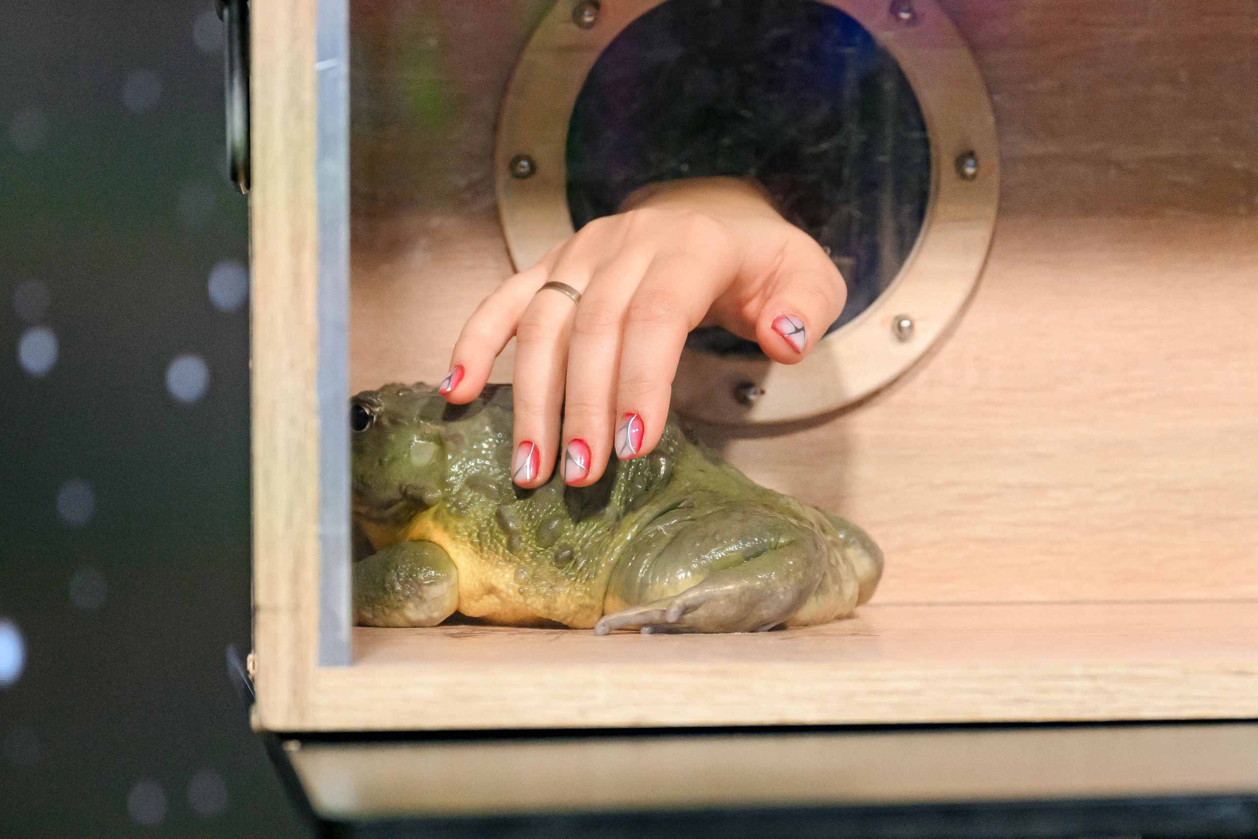 Happy Birthday. Максим Комаров — Профессиональный фотограф