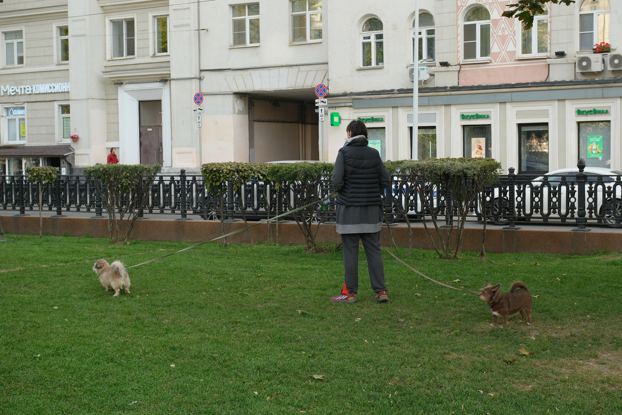 Сентябрь 2025. Улица, люди, жизнь…