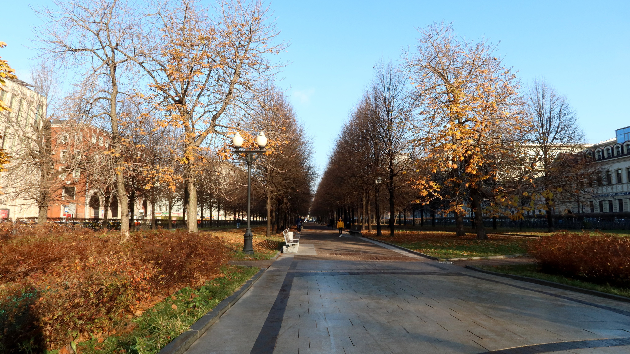 Цветной бульвар 2021. Улица, люди, жизнь…