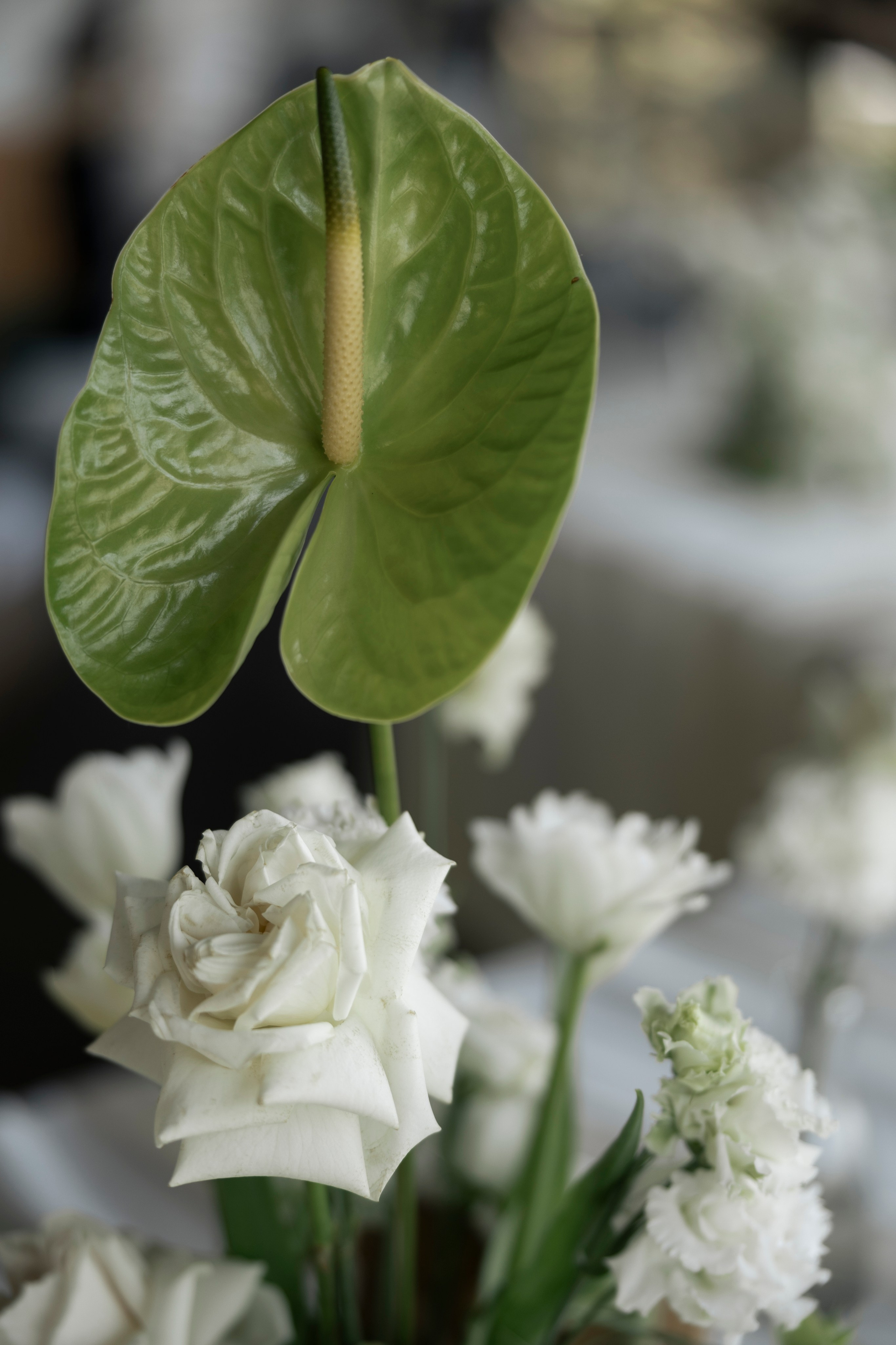 WEDDING 2023-2025. Свадебный Фотограф Максим Пустовой