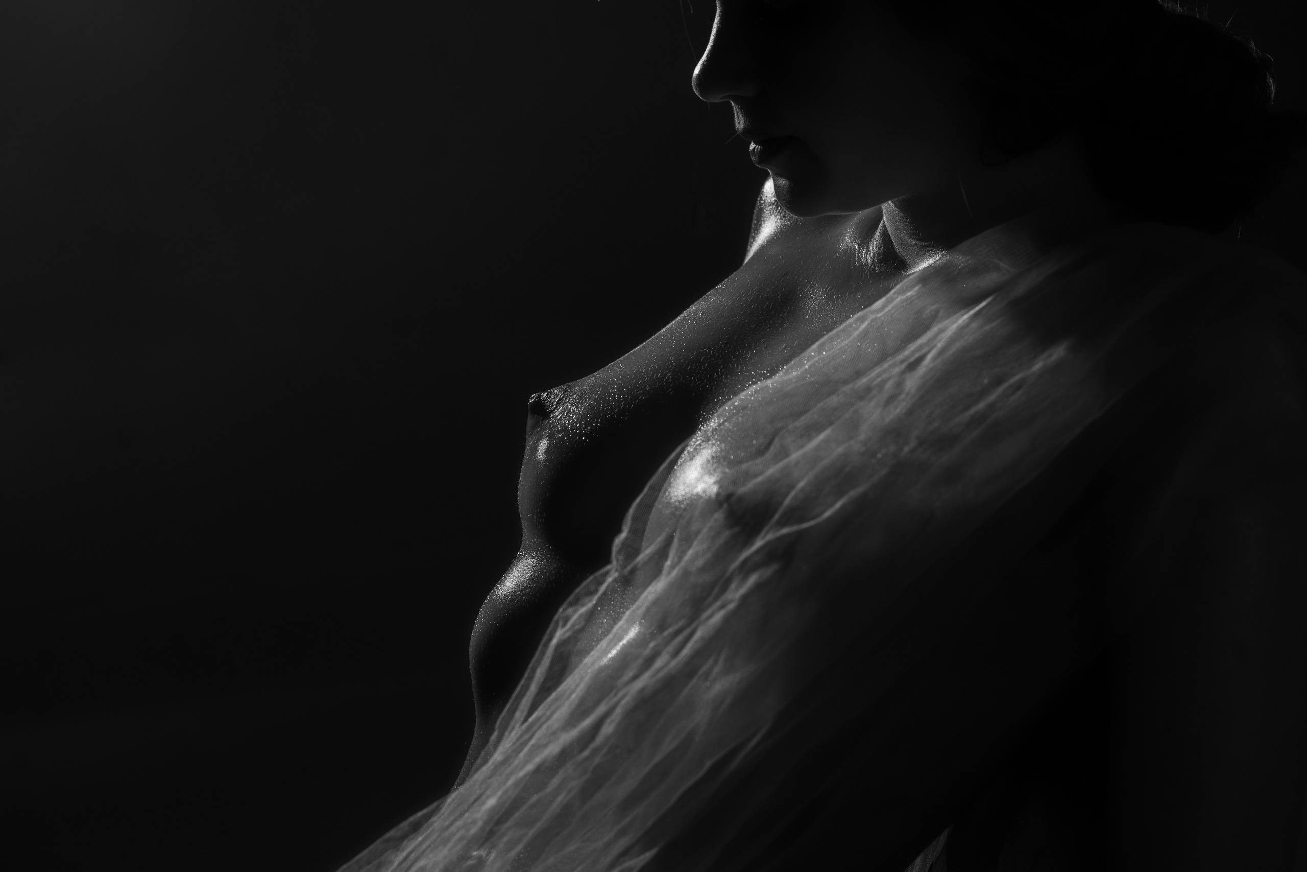 Арт-ню. Арт-ню Н.Новгород/Москва