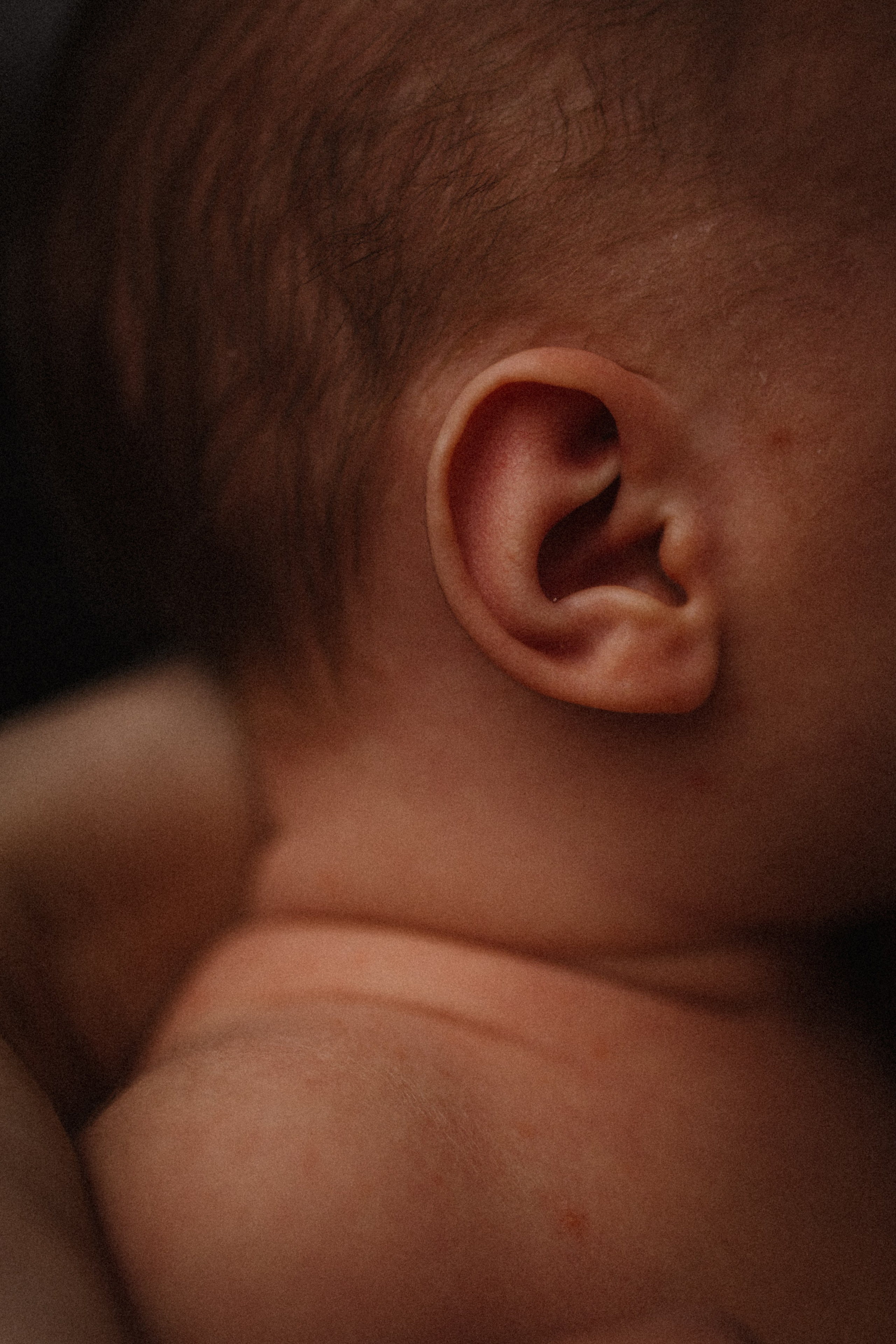 Лев. Семейный фотограф в Москве и Люберцах Юлия Гуськова