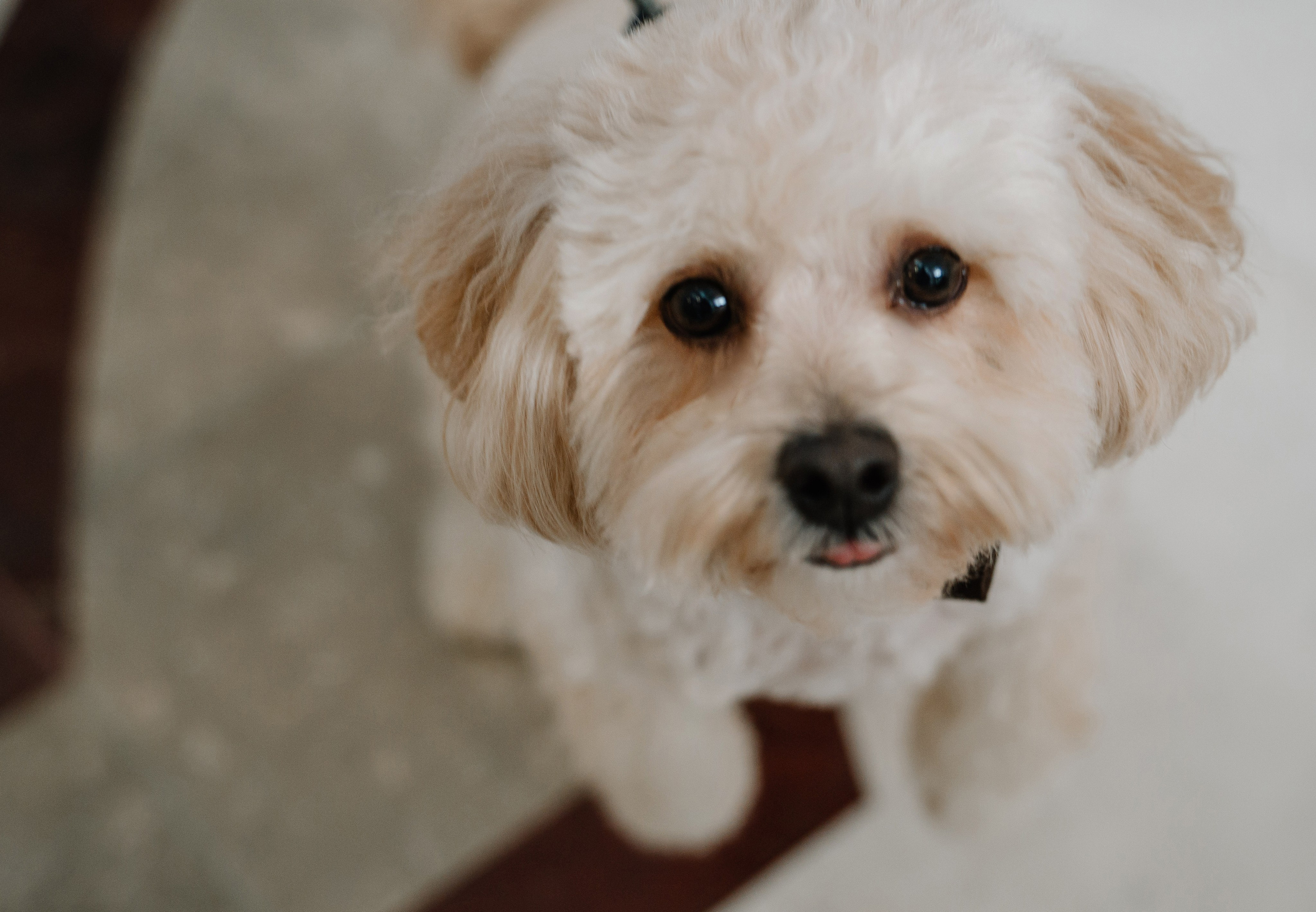 Искренность. Свадебный и семейный фотограф в Анапе Елена Полетаева