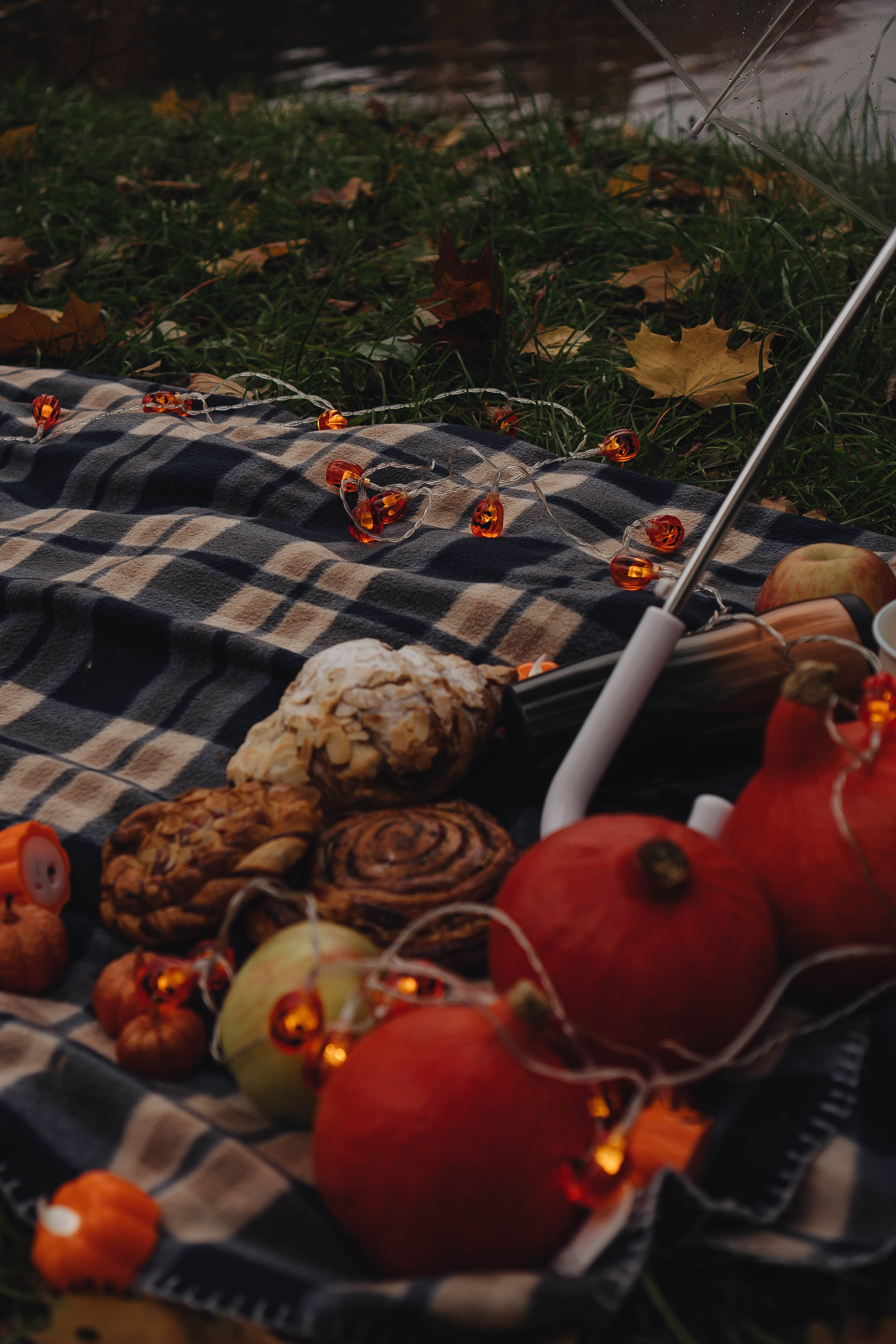 Осень. Профессиональный фотограф, Санкт-Петербург — Виктория Богомолова