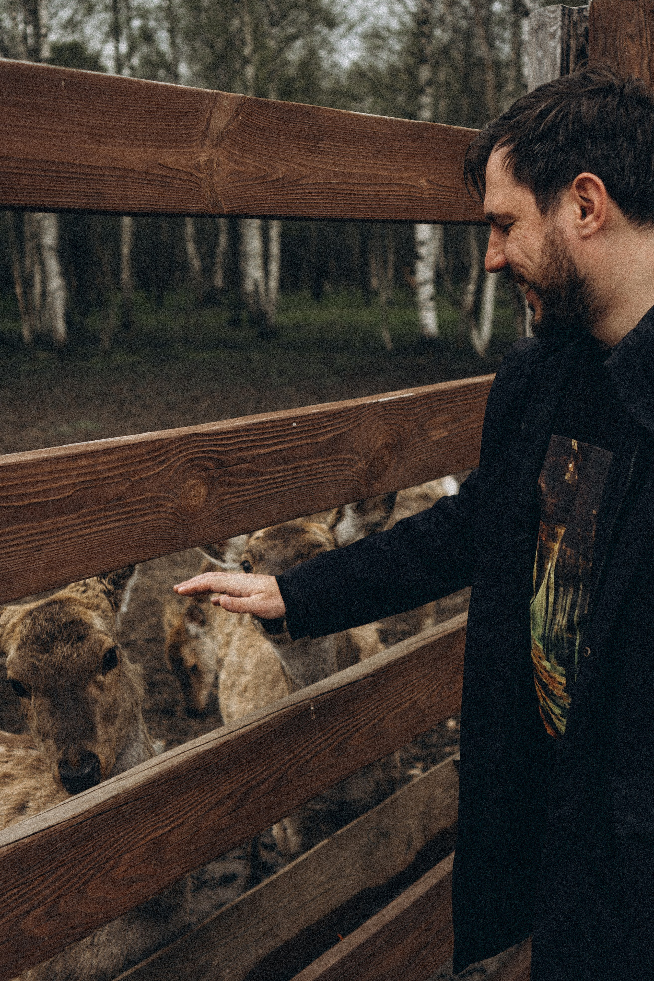 ОЛЕНЬЯ ФЕРМА В ТВЕРИ. Профессиональный фотограф, Санкт-Петербург — Виктория Богомолова