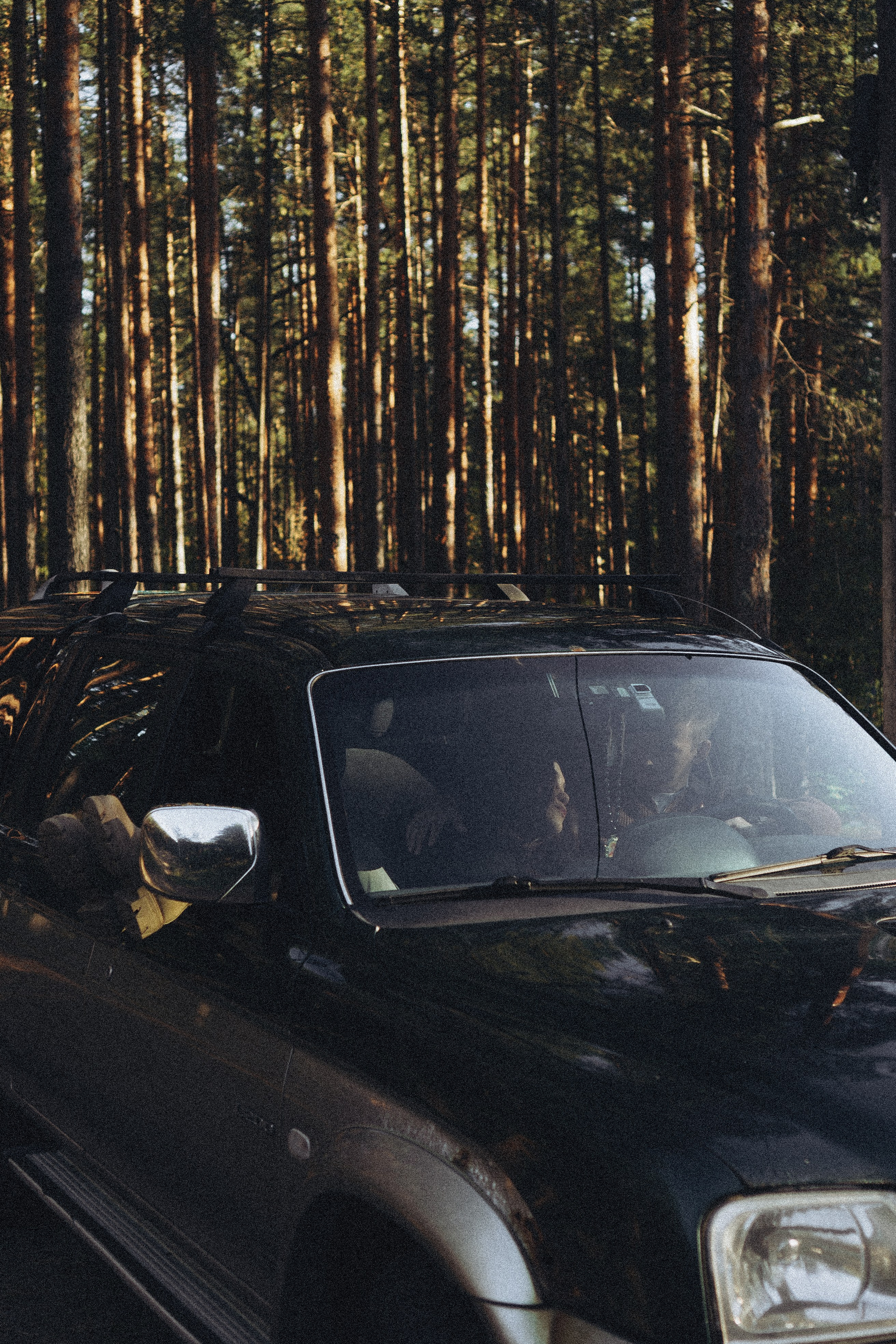 Прогулка по Финскому заливу. Профессиональный фотограф, Санкт-Петербург — Виктория Богомолова