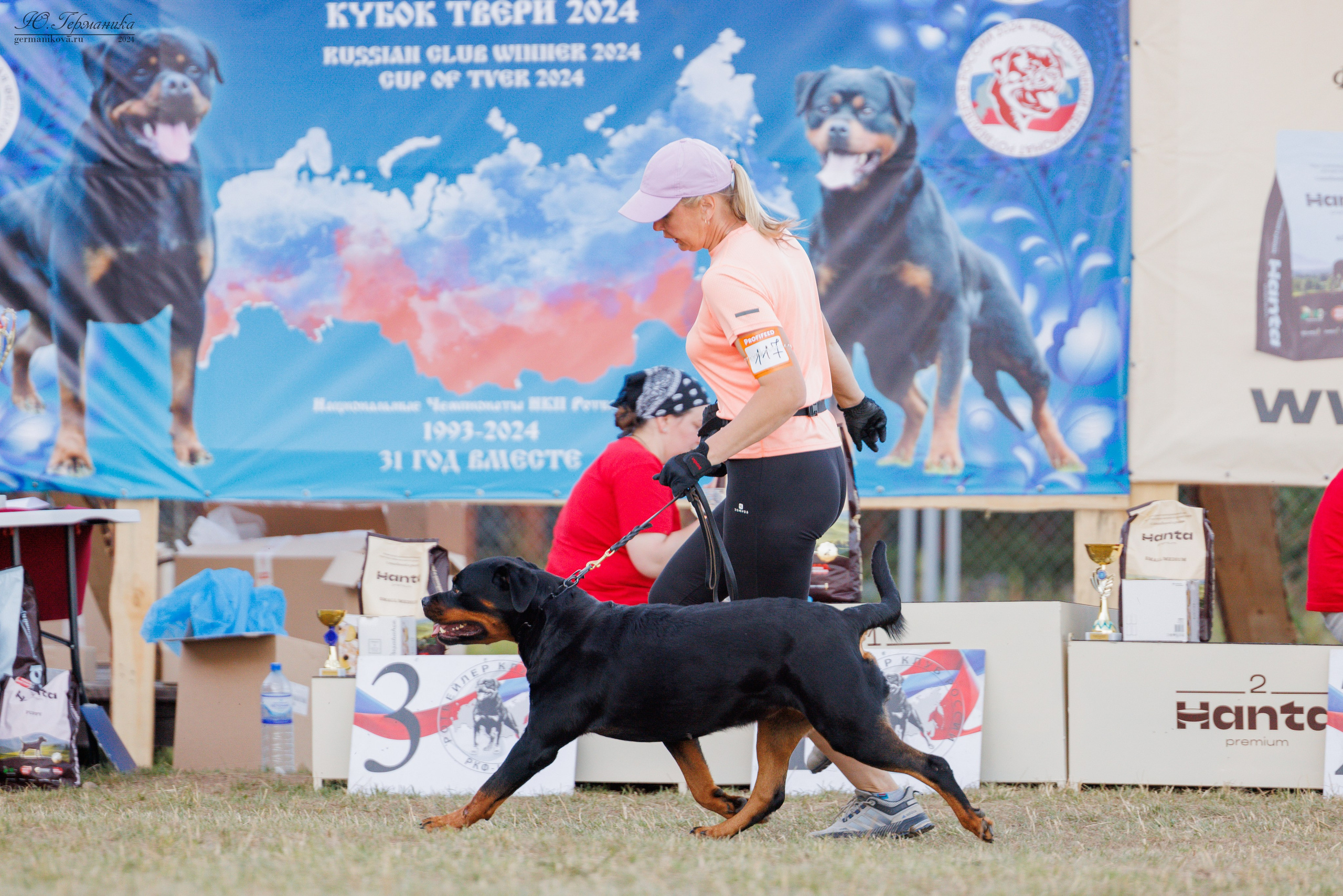 ПК и КЧК ротвейлеры Тверь 6-7.07.2024. Фотограф-анималист Юлия Германика
