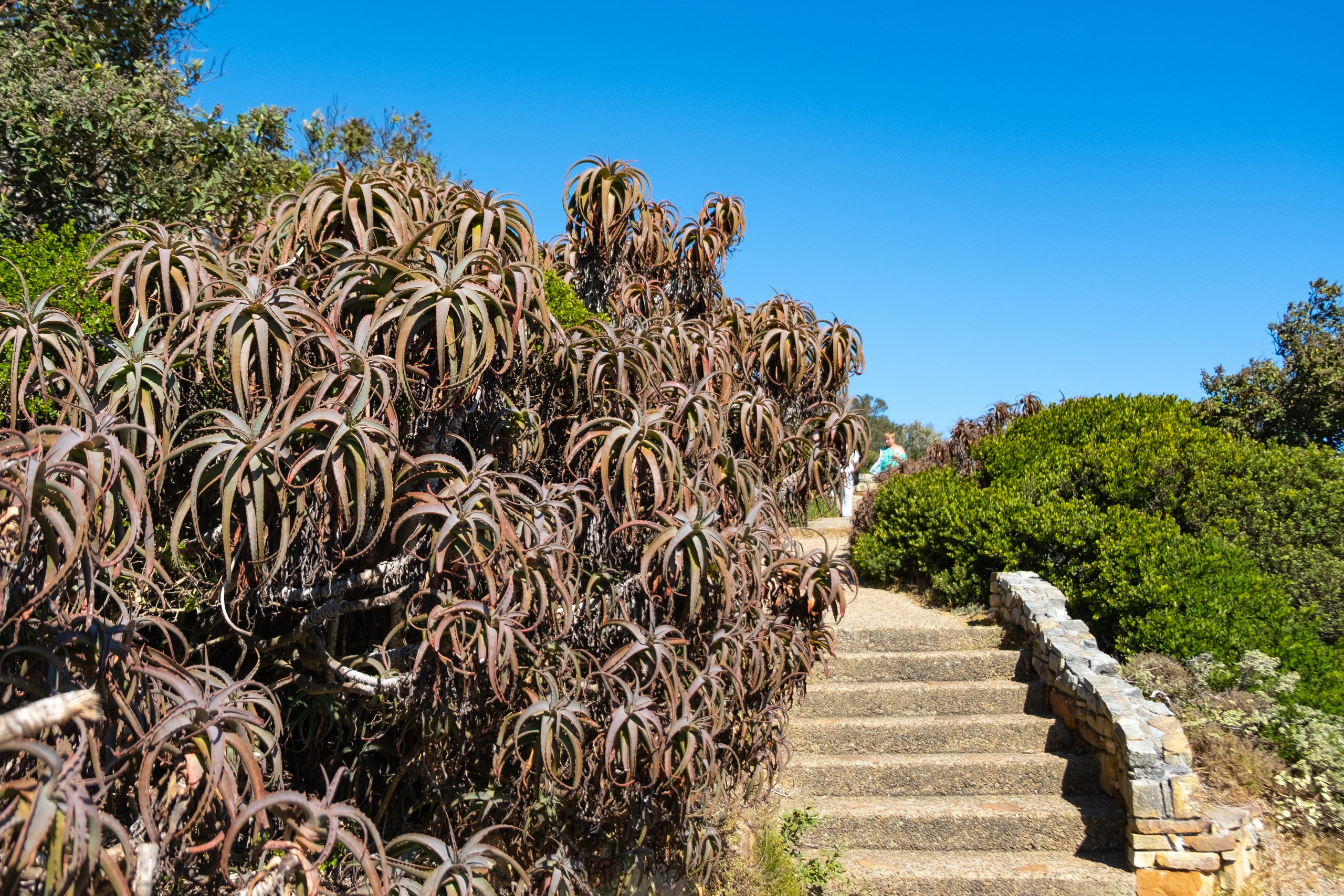 Мыс надежды. Фотографии из путешествий