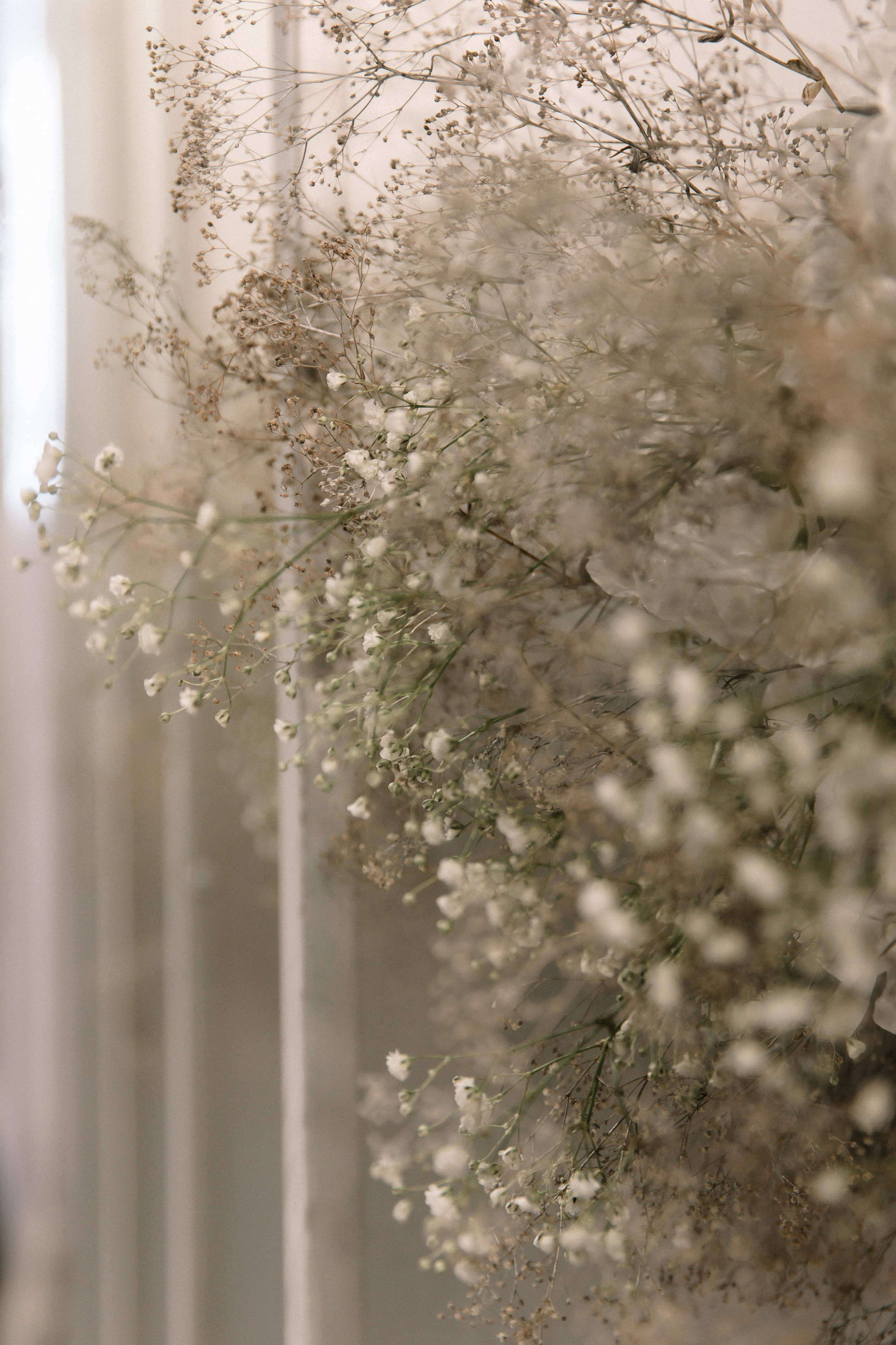 D & S. Свадебный фотограф Алина Хабарова