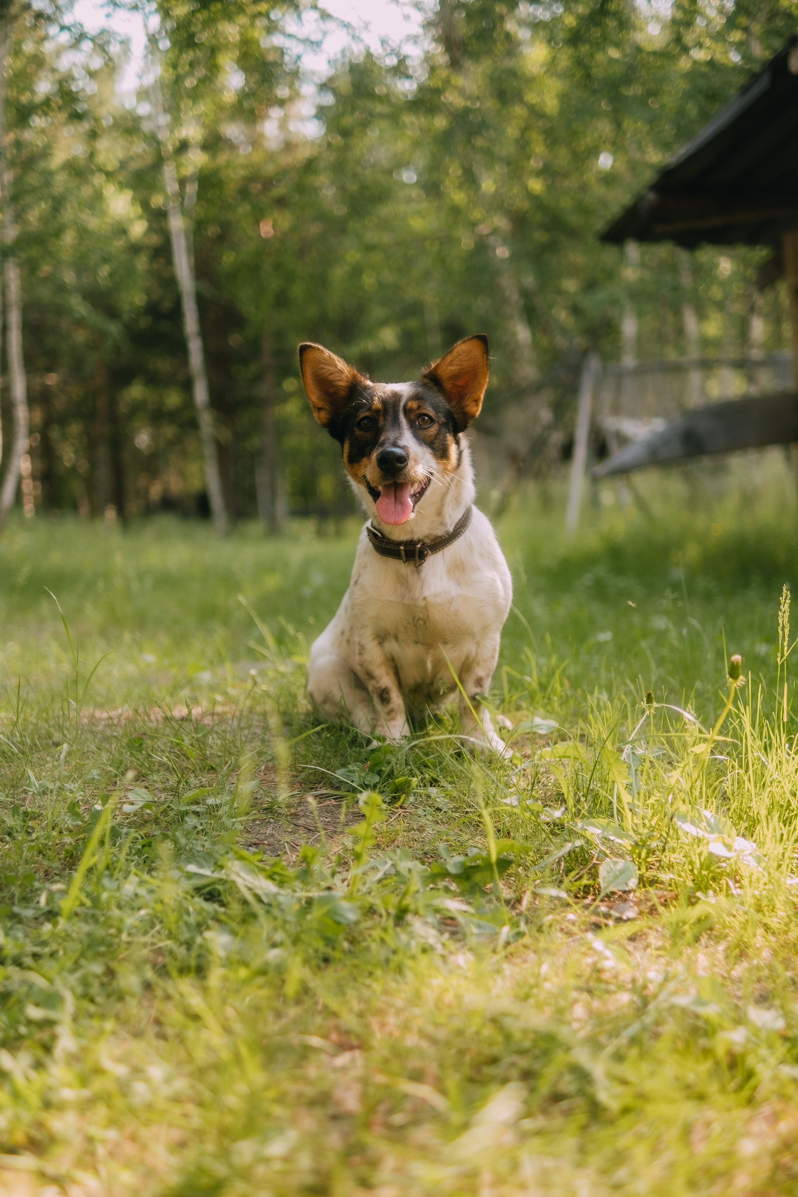 Выезд на этностойбище ресторан — музей «Чум». Фотограф в Тюмени Кирилл Марфин