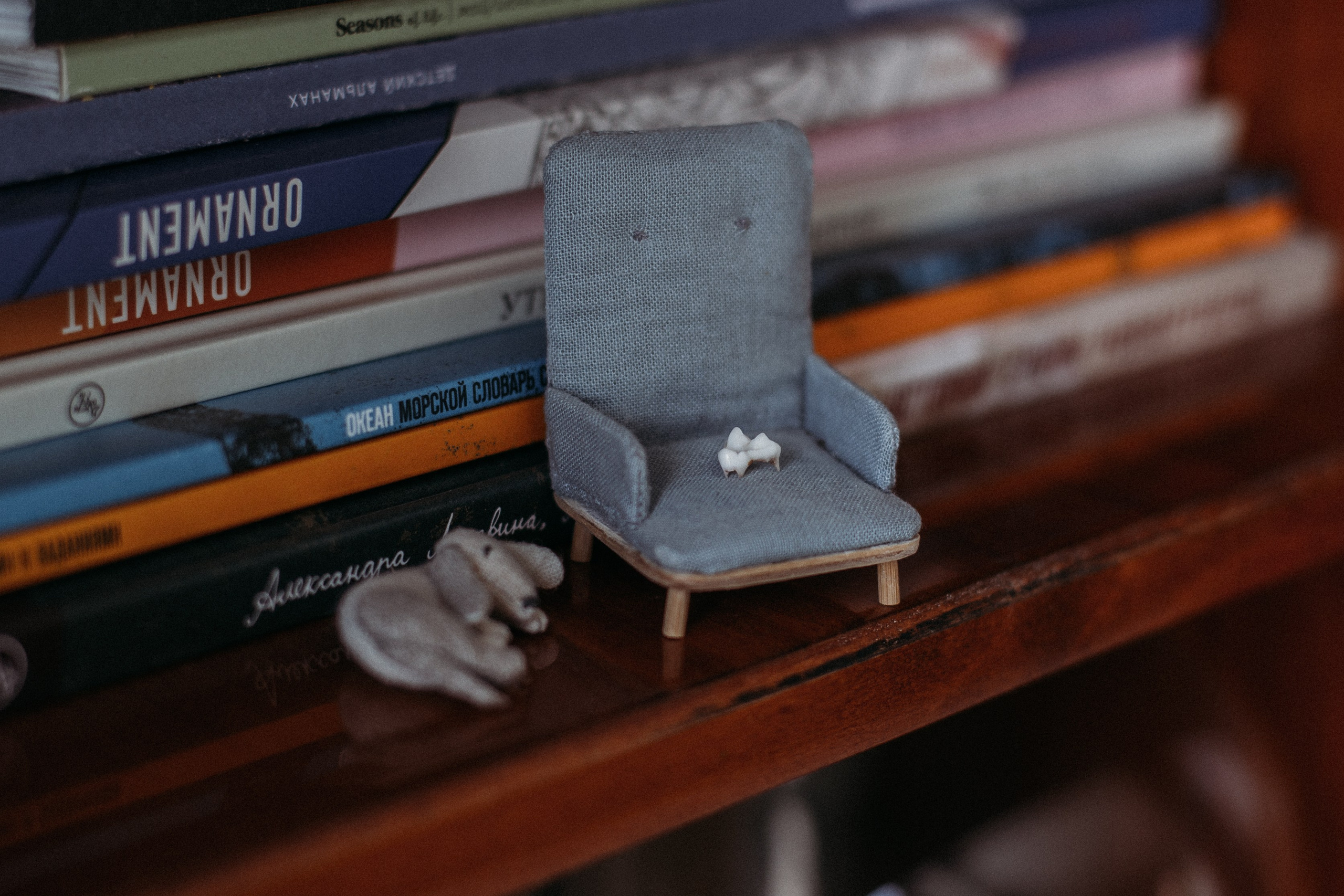 Ксюша, Жан и Марципан. Семейный фотограф в Самаре