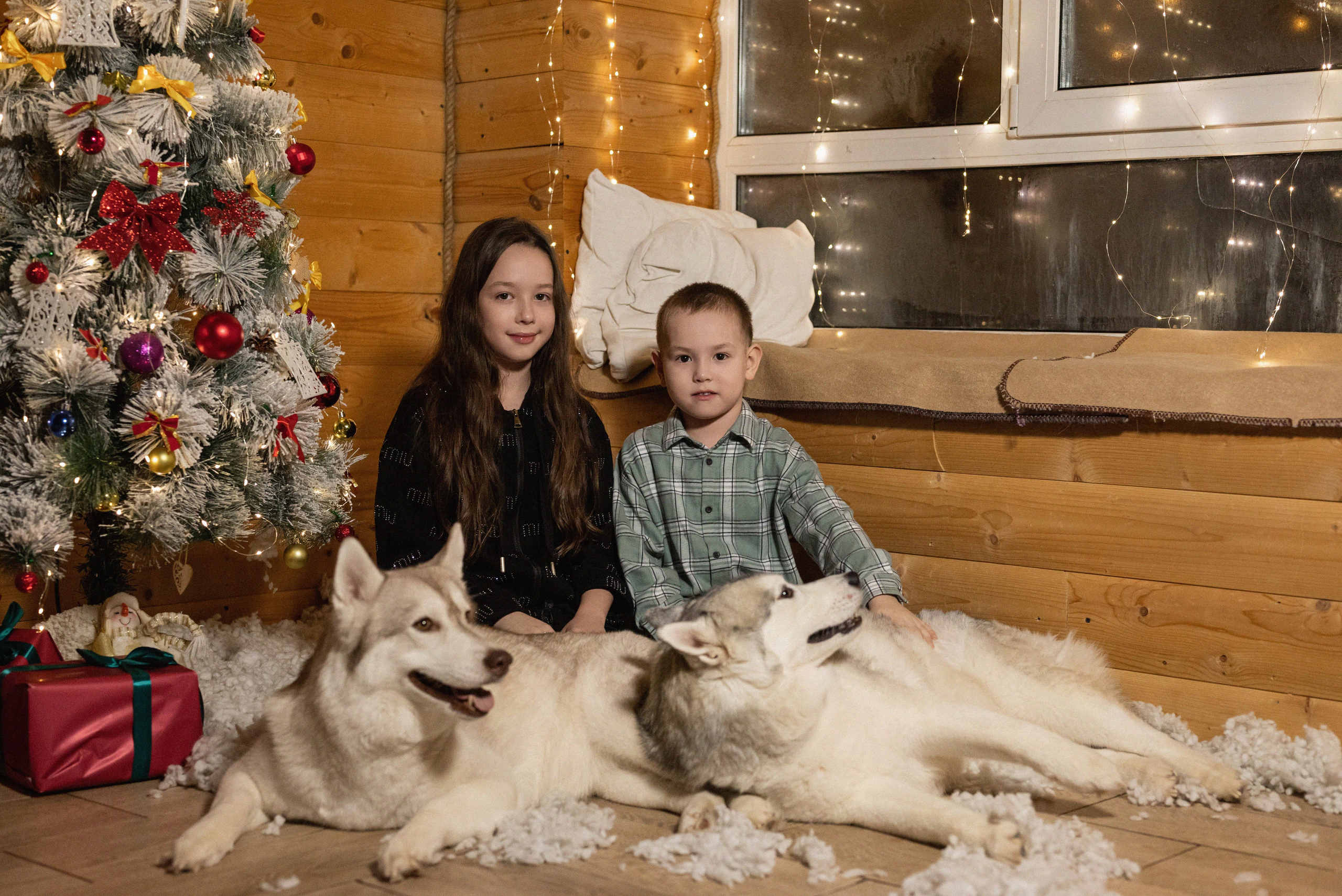 Фотопроект с хаски 2025 г. Фотограф в городе Салават