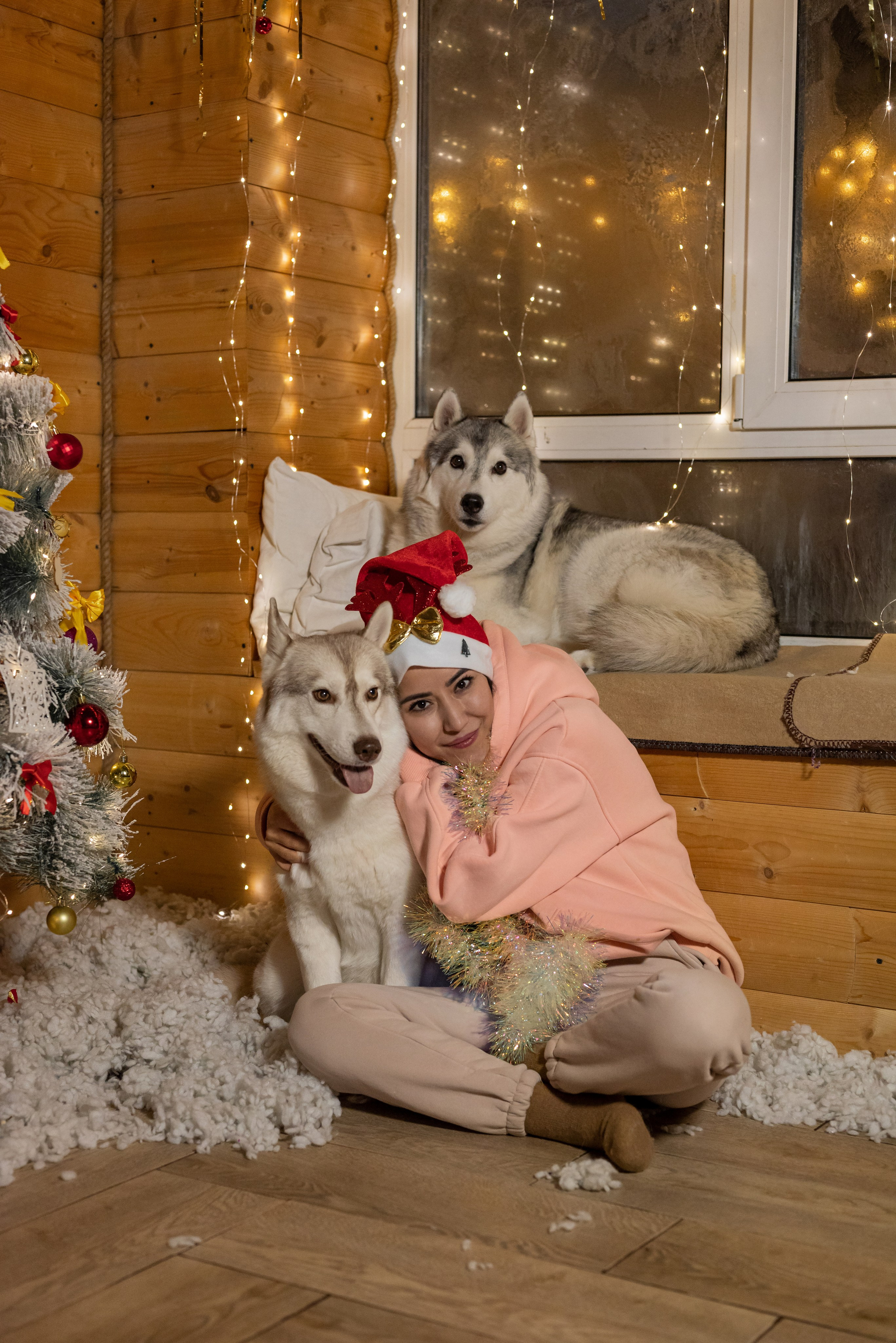 Фотопроект с хаски 2025 г. Фотограф в городе Салават