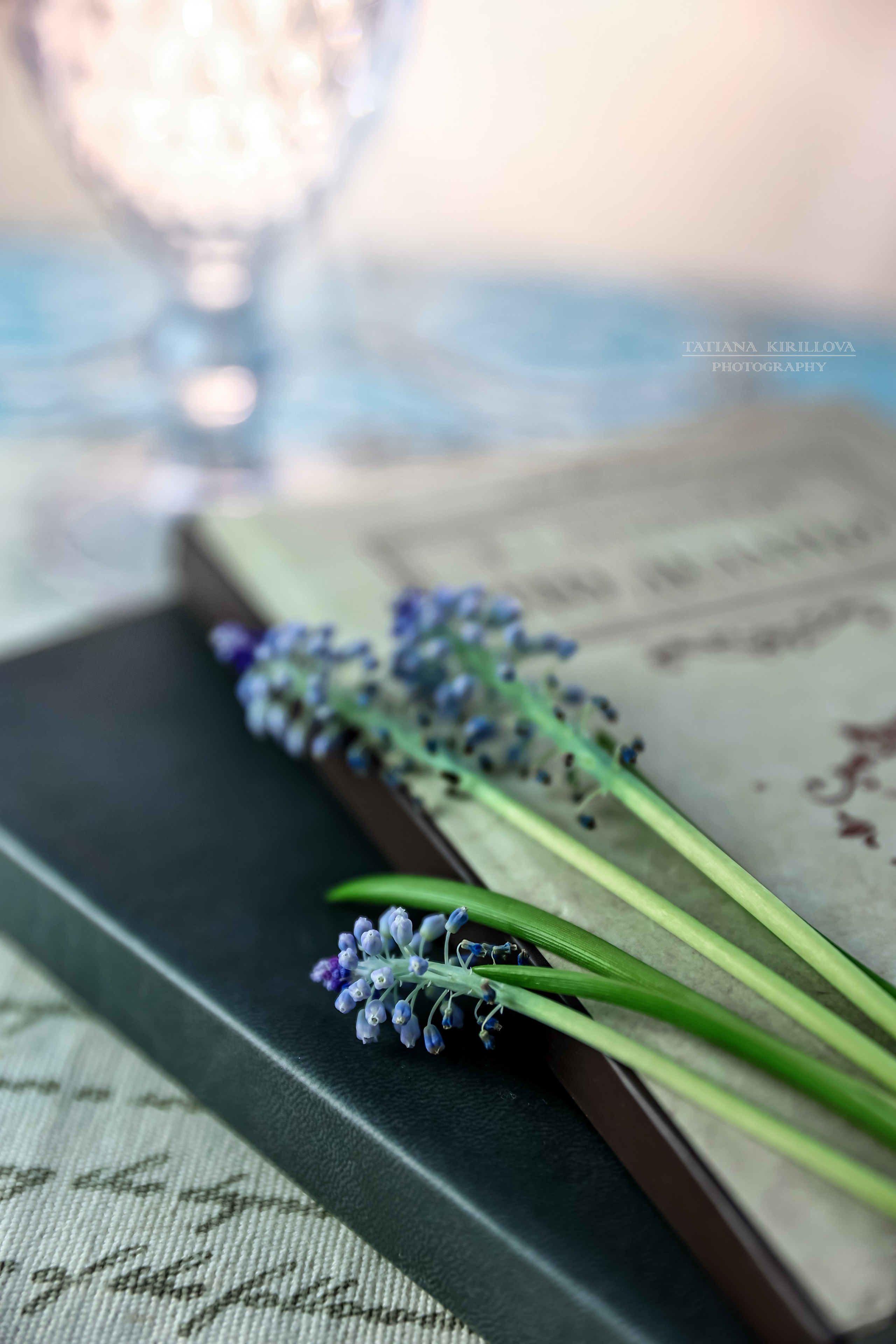 Предметная съемка, цветы, открытки. Фотограф — Татьяна Кириллова, г. Санкт-Петербург