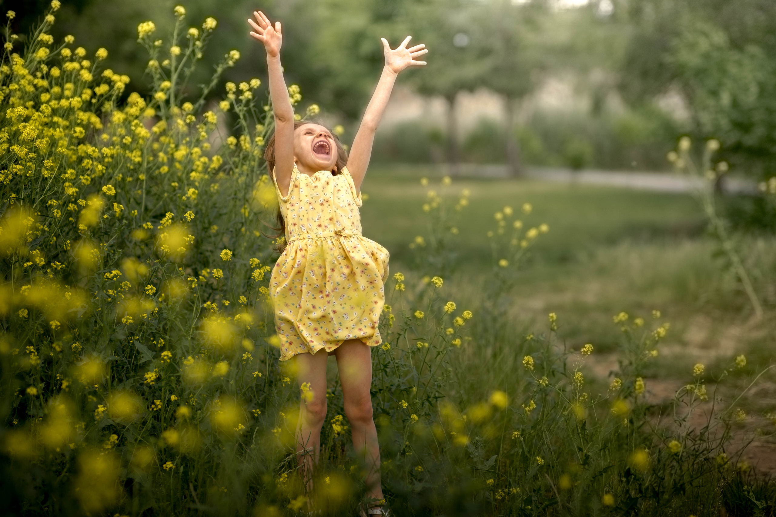 Услуги и цены. Фотограф Мила Гоцина