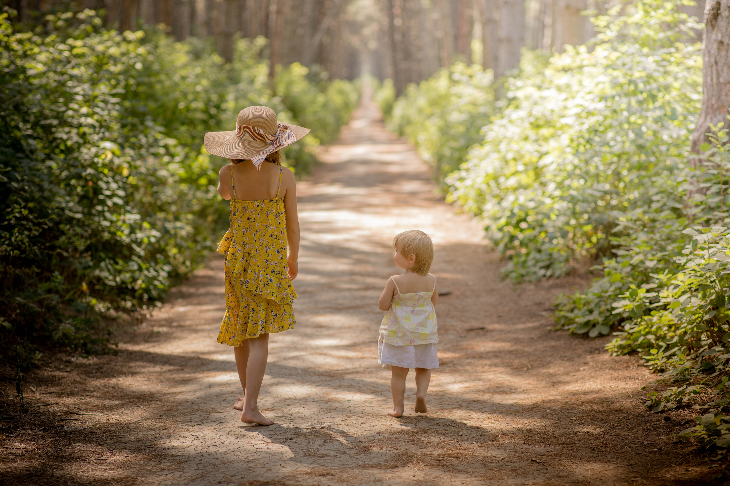 Услуги и цены. Фотограф Мила Гоцина
