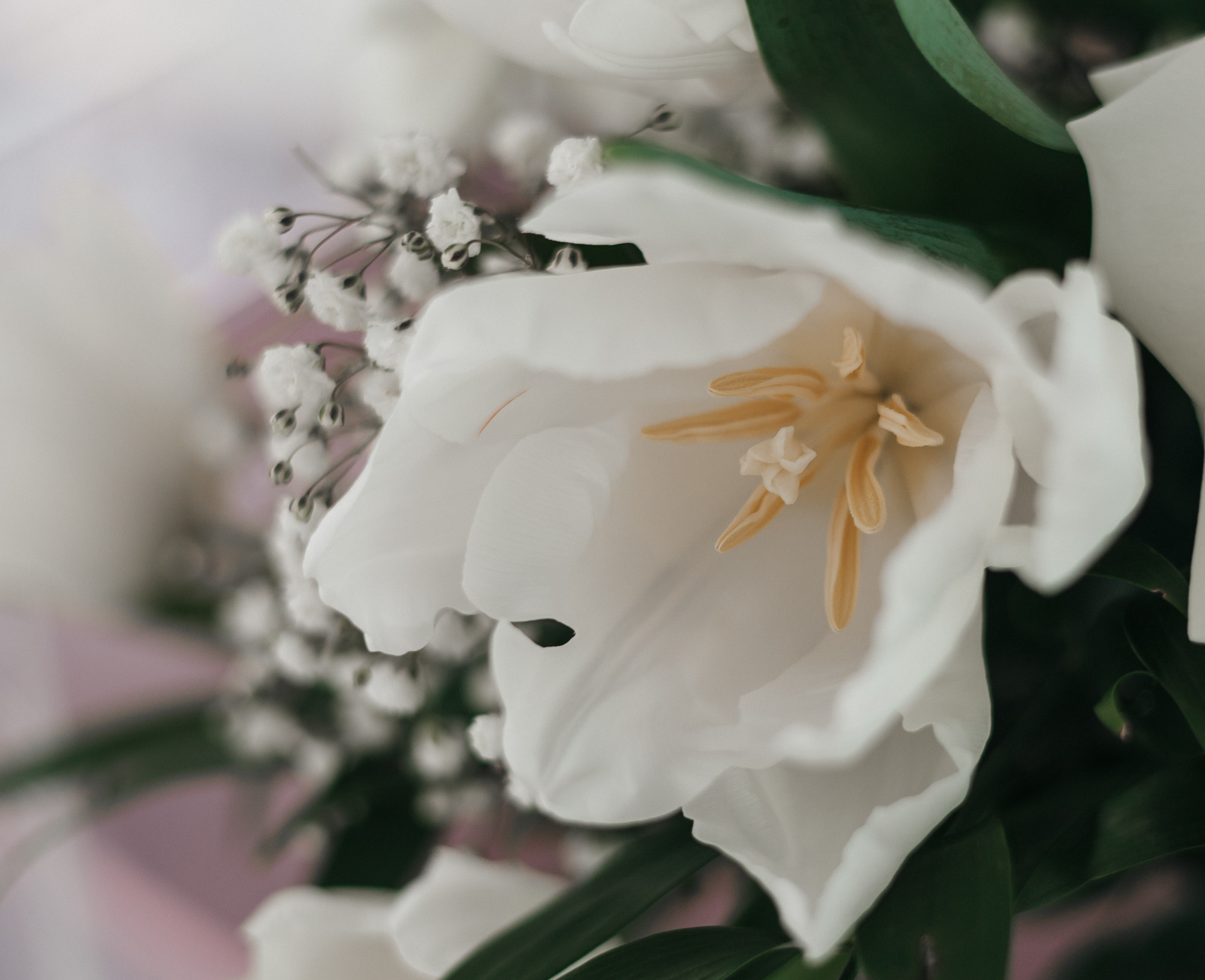 Ксения и Владимир. Главная