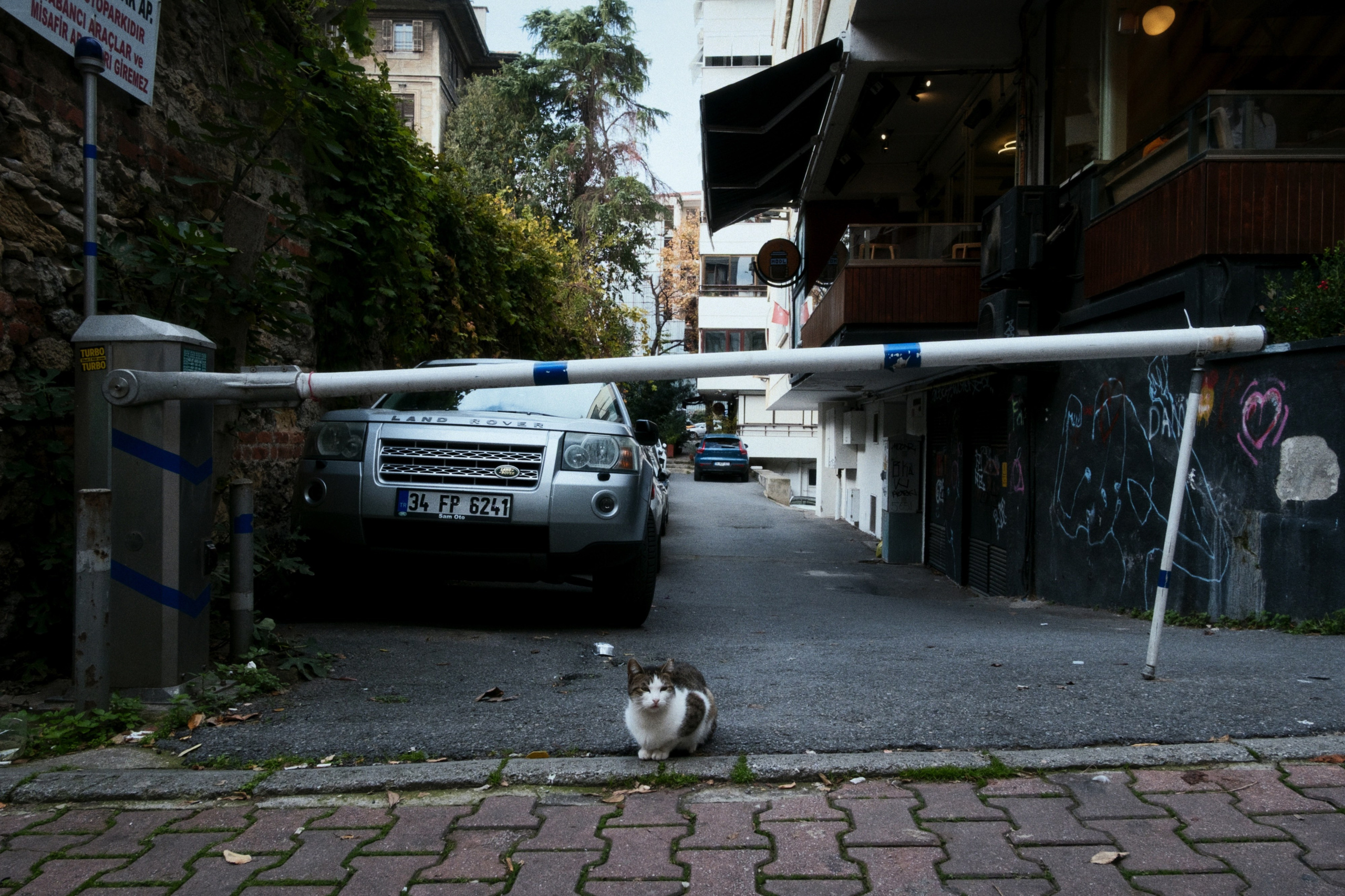 Kadikoy x Moda, Istanbul / Türkey AW25. Фотограф Юрин Евгений