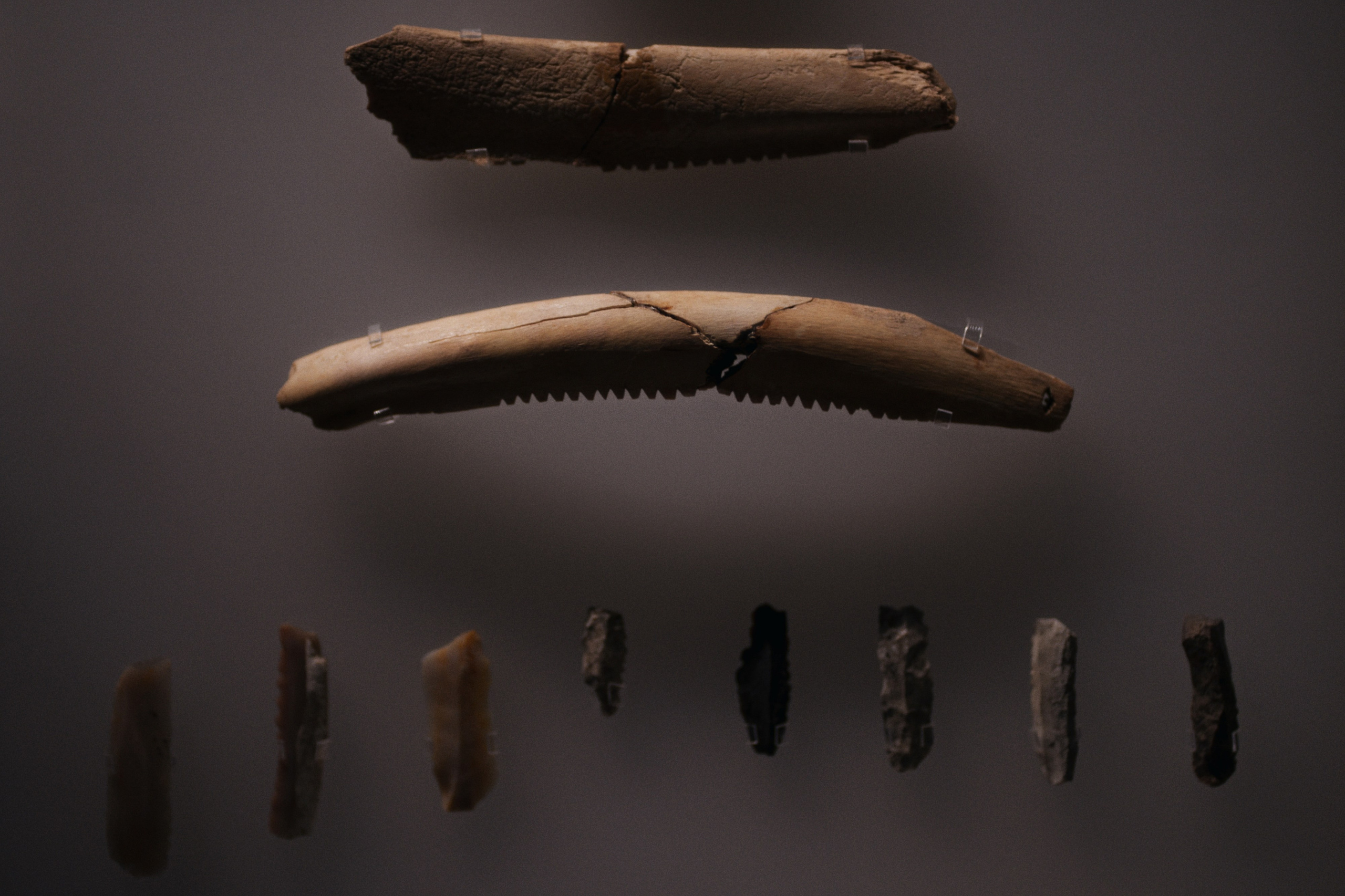 Archaeological Museum / Istanbul, Türkey SS25. Фотограф Юрин Евгений