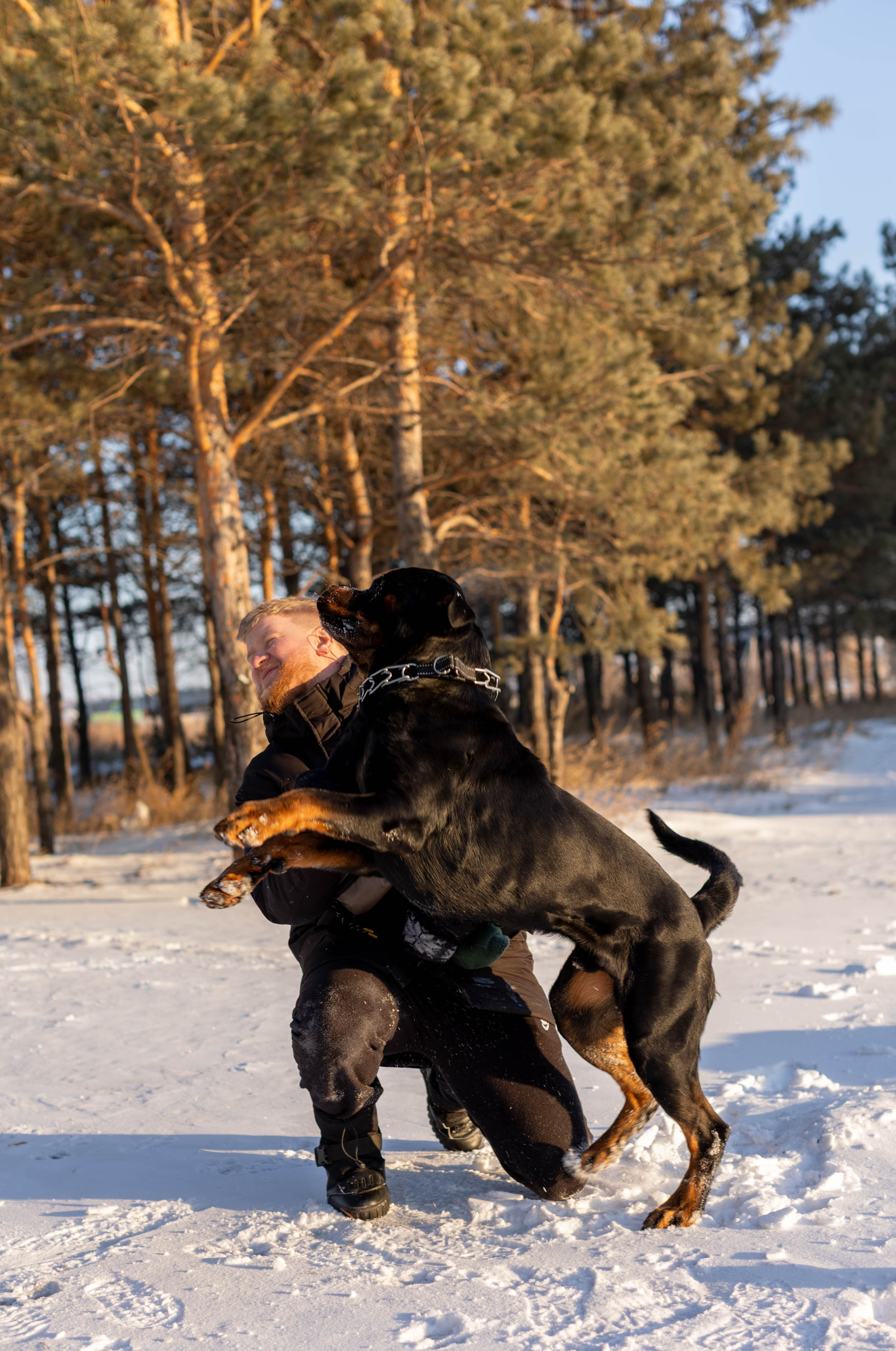 Зимняя прогулка. Art my Pho