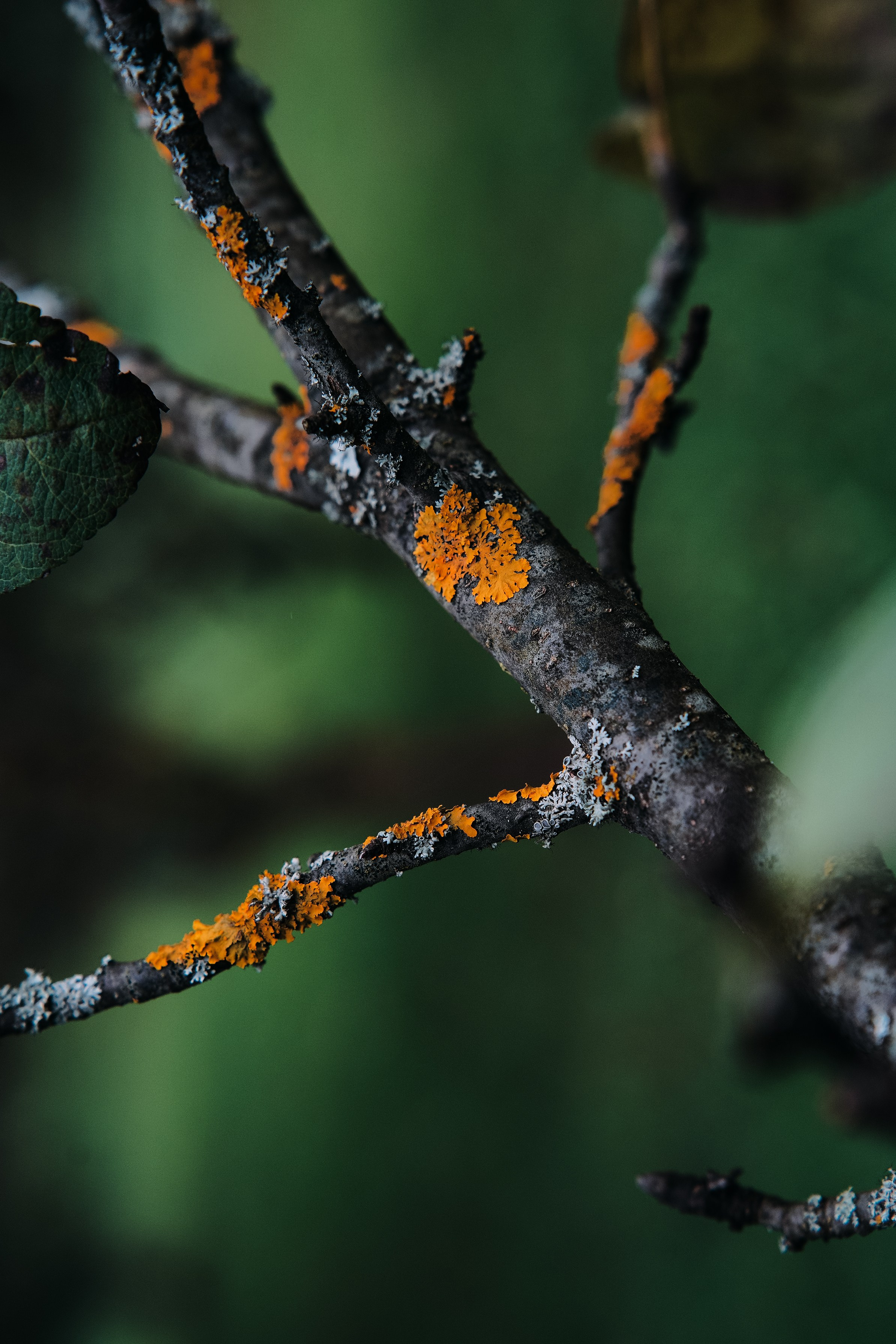 Осень 2025. Фотограф из Москвы — DASHA NOVA | Авторская фотография в разных жанрах