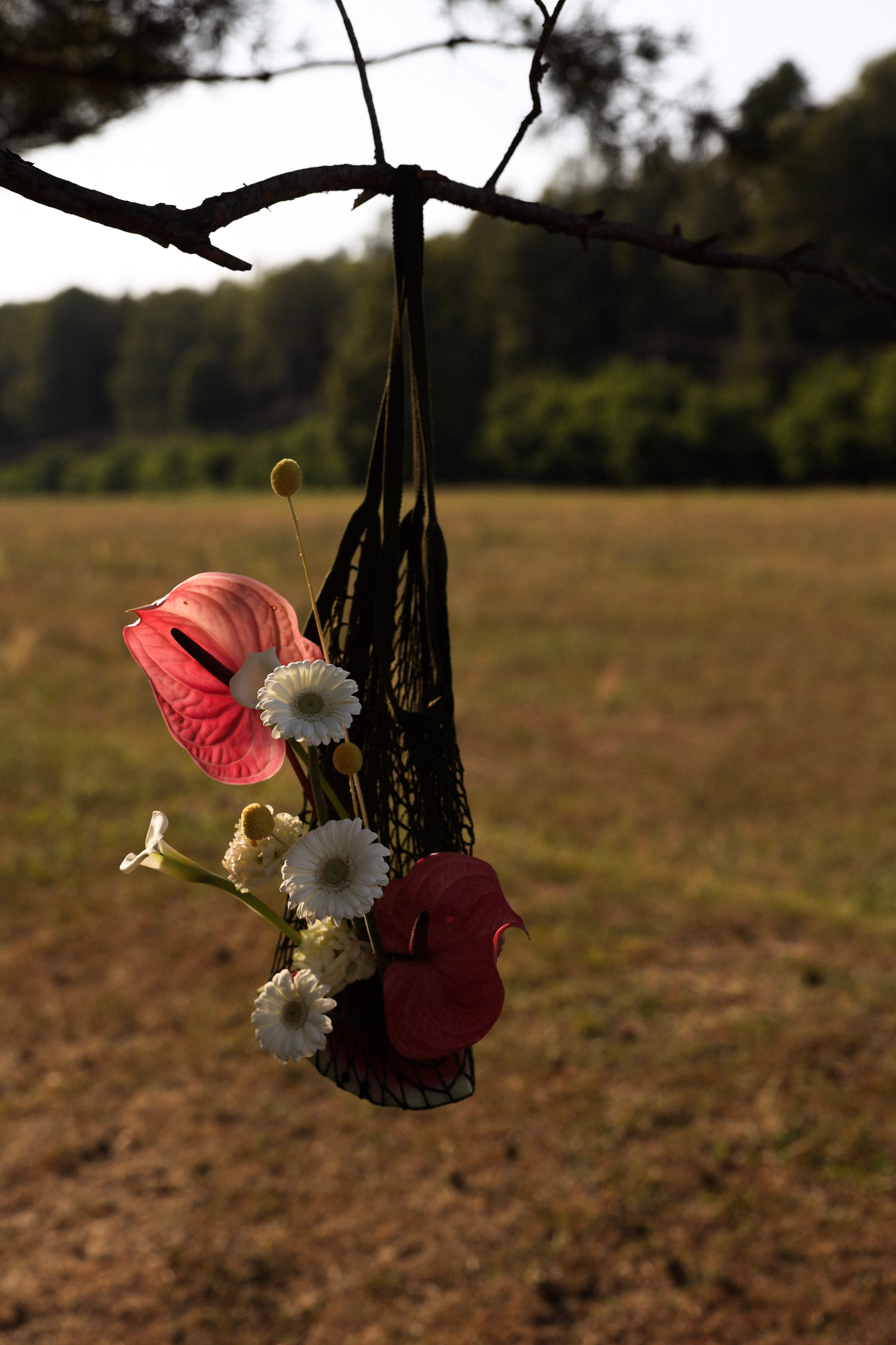 Гриша и Влада | Country club Поляна. Свадебный фотограф Москва