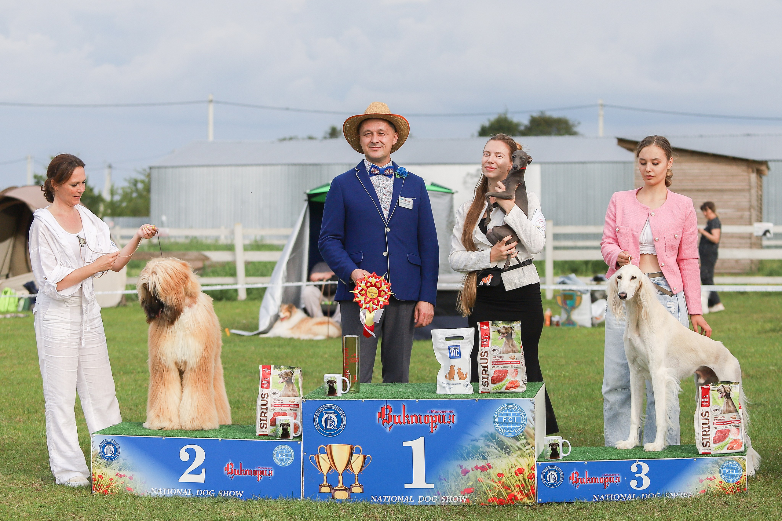 Республиканская выставка собак всех пород. Галерея фотографий афганской борзой