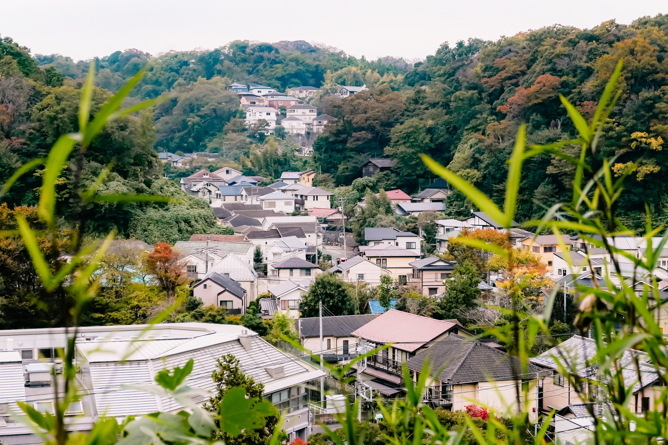 Japan village. Iraogo