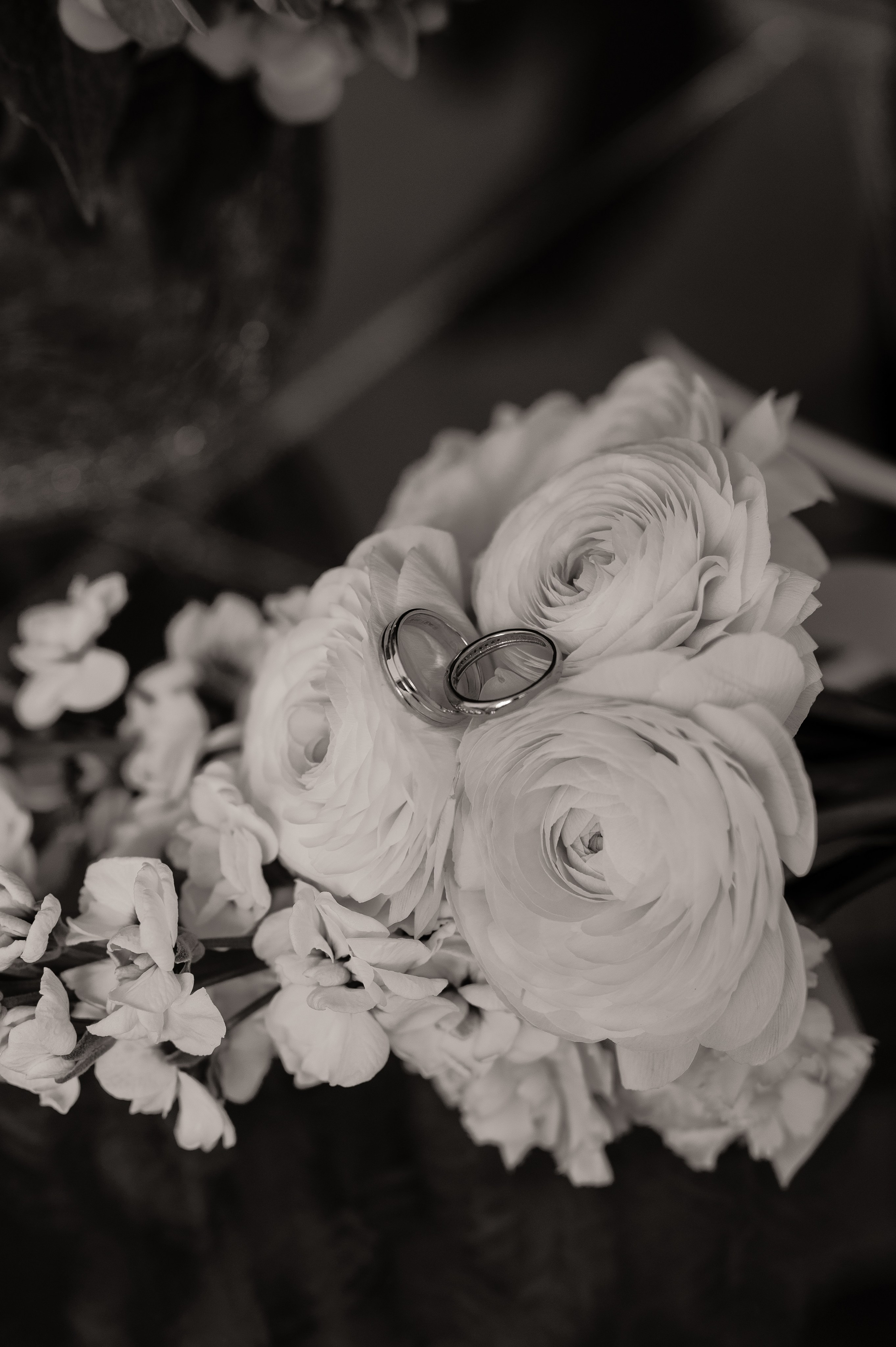 Эдгар и Дарья. Свадебный и семейный фотограф в Краснодаре Алина Мельник