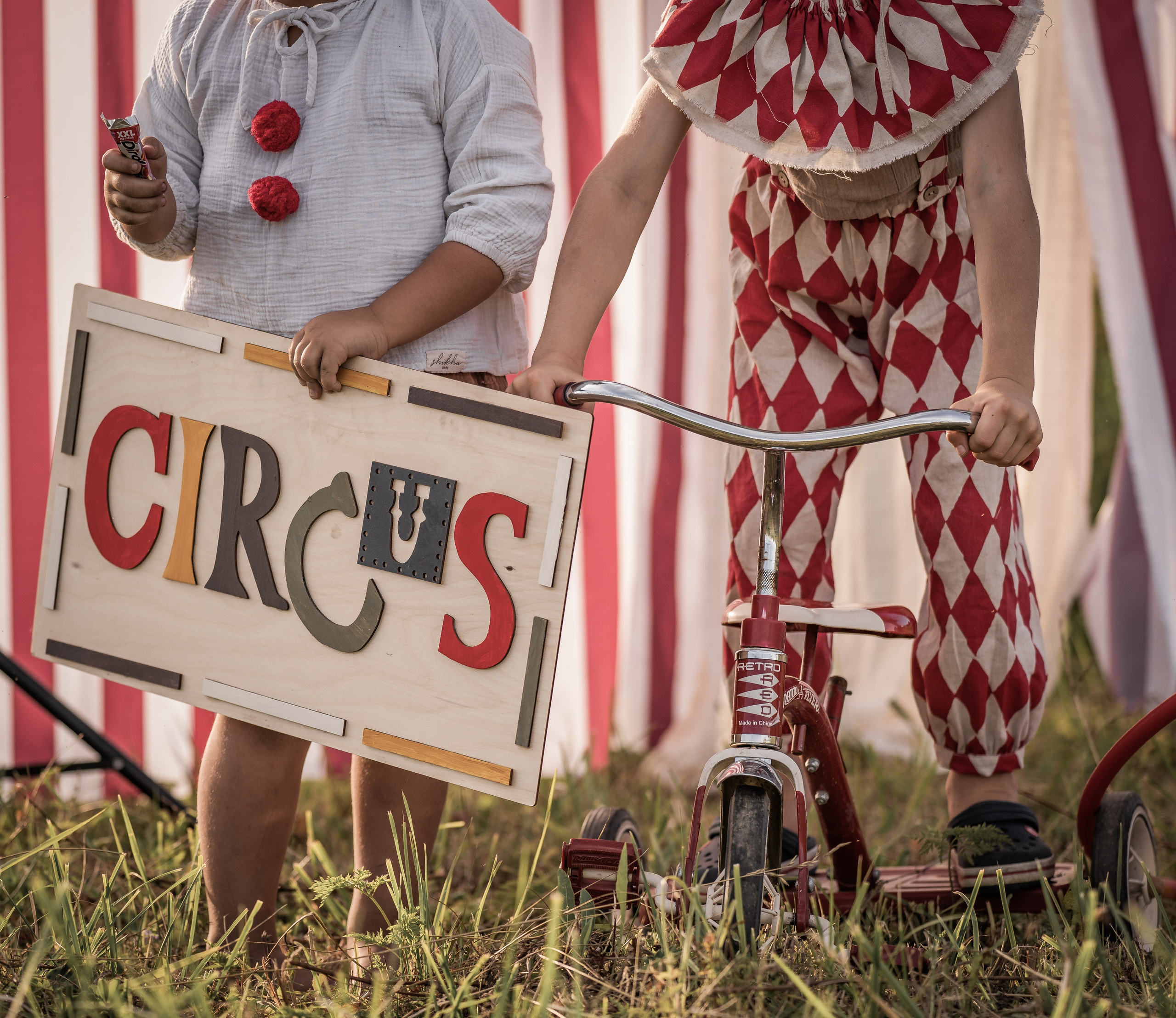 Цирк. Семейный фотограф Ефремова Виктория