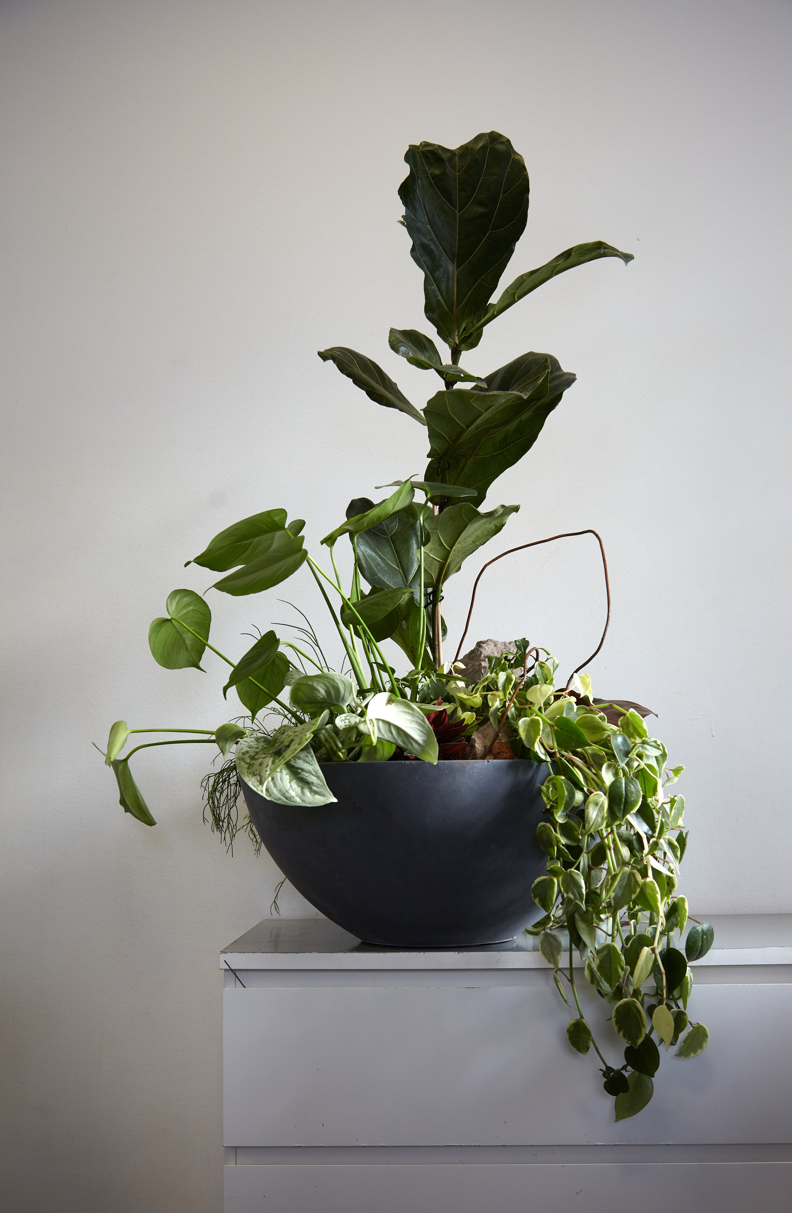 Roberto. Maria Poleshchuk, commercial photographer in Sydney