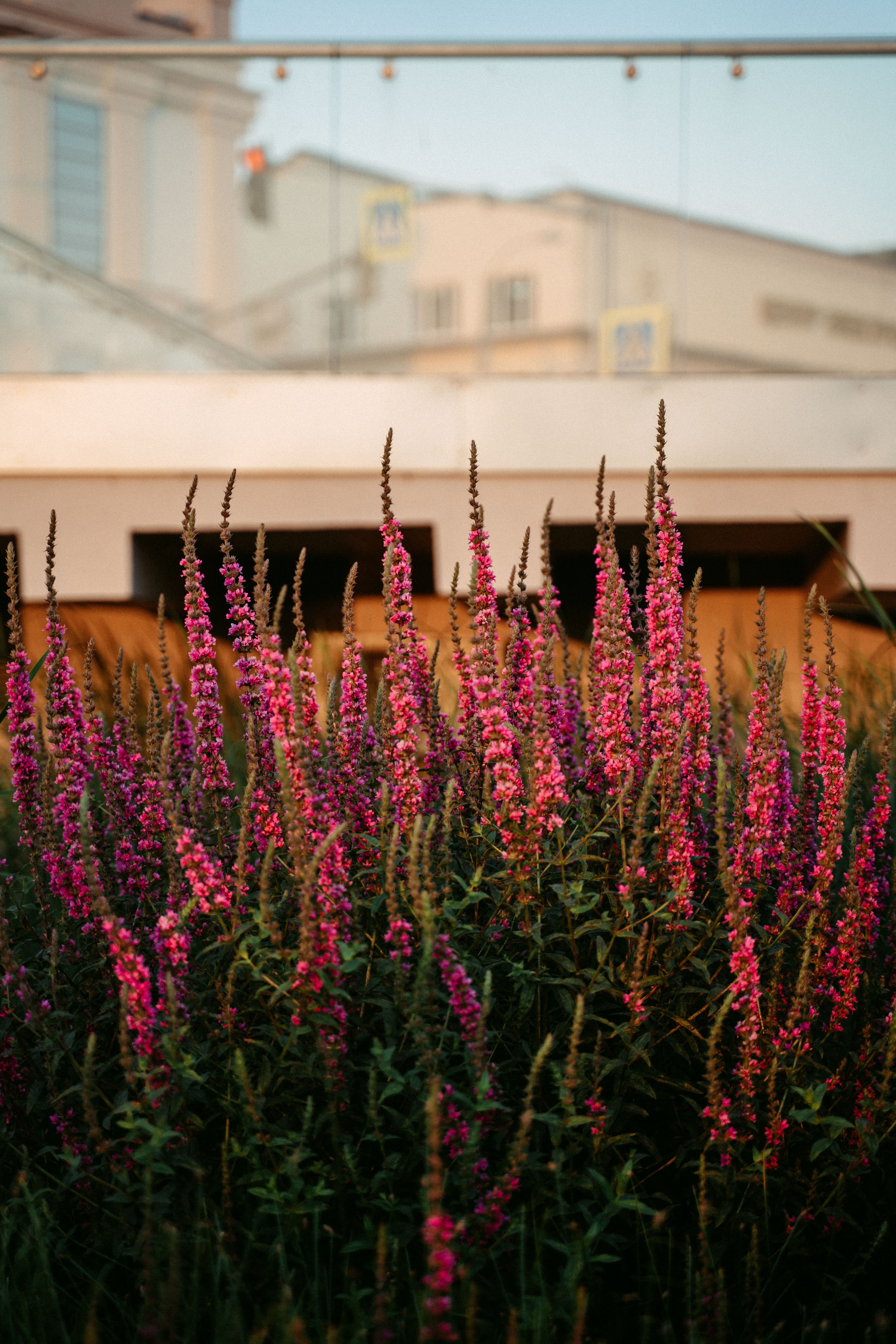 Вечер электронной музыки на Озере Кабан / 2023. Саша Копылов, фотограф в Казани