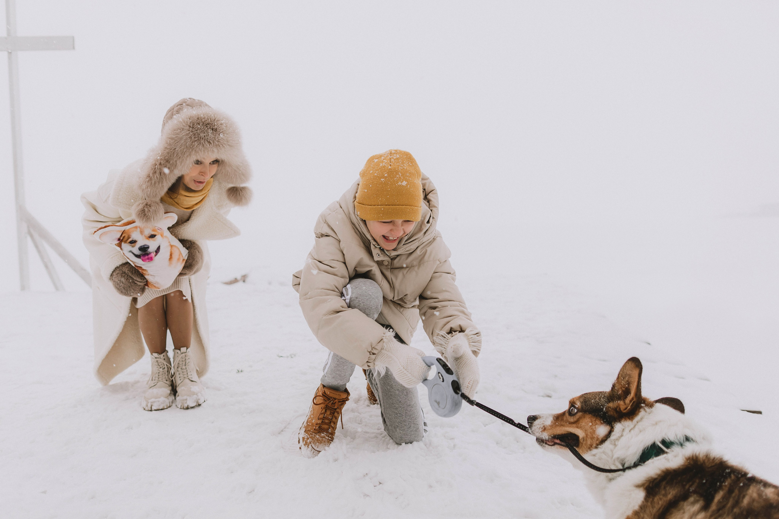 Семейная веселая фотосъемка с собакой корги на улице зимой, в снегу.