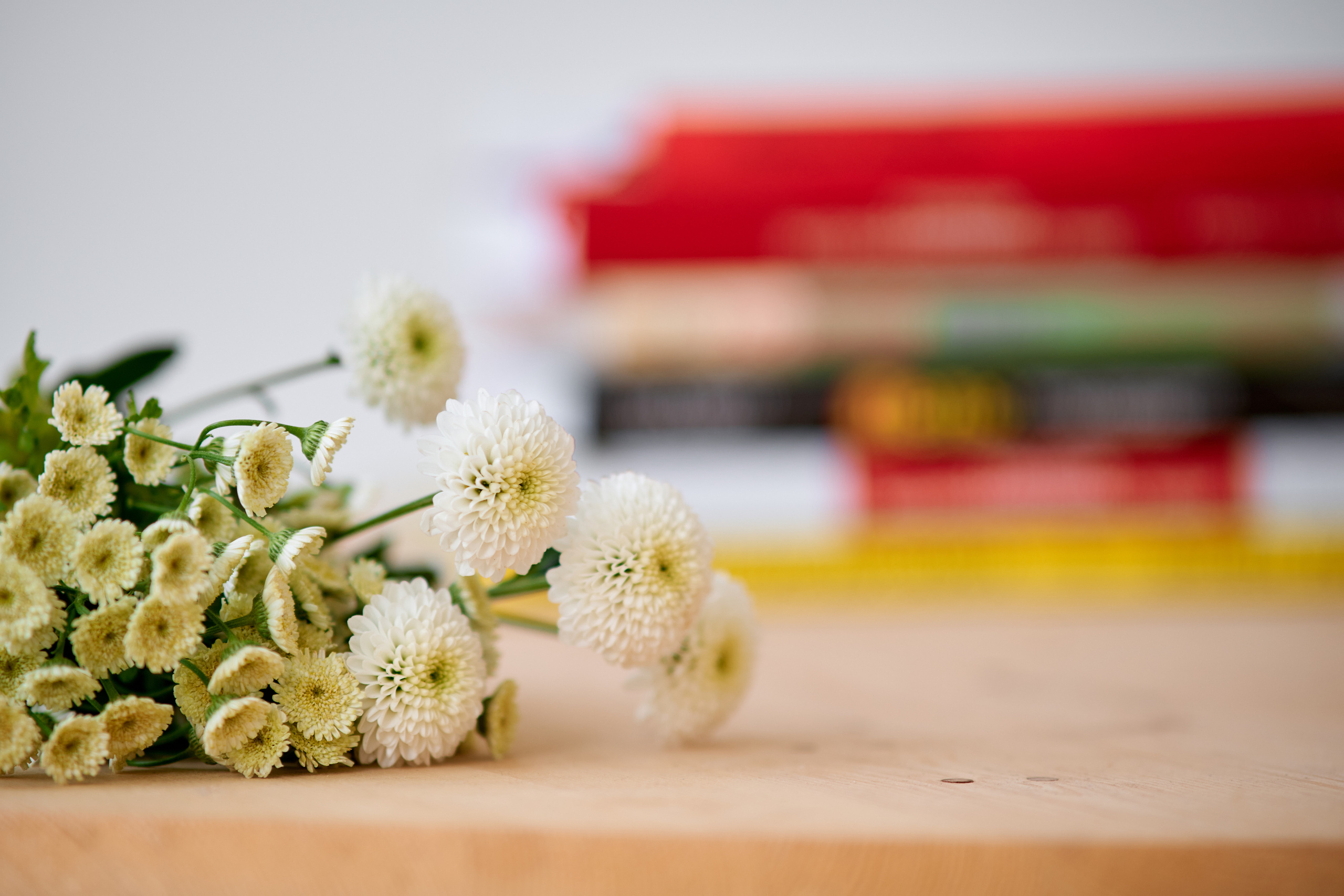 Дизайнер Светлана Ковальчук. Фотограф Таганрог Анна Трайжон